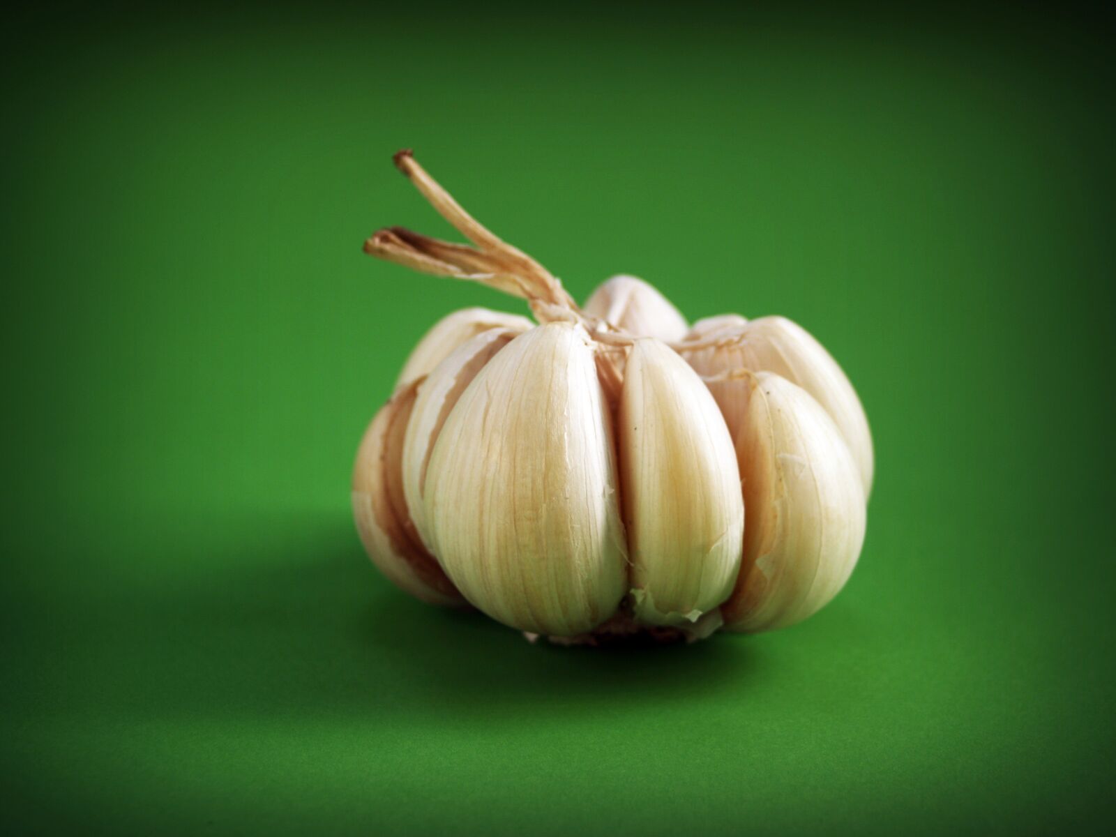 Olympus E-300 (EVOLT E-300) sample photo. Garlic, meals, seasoning photography