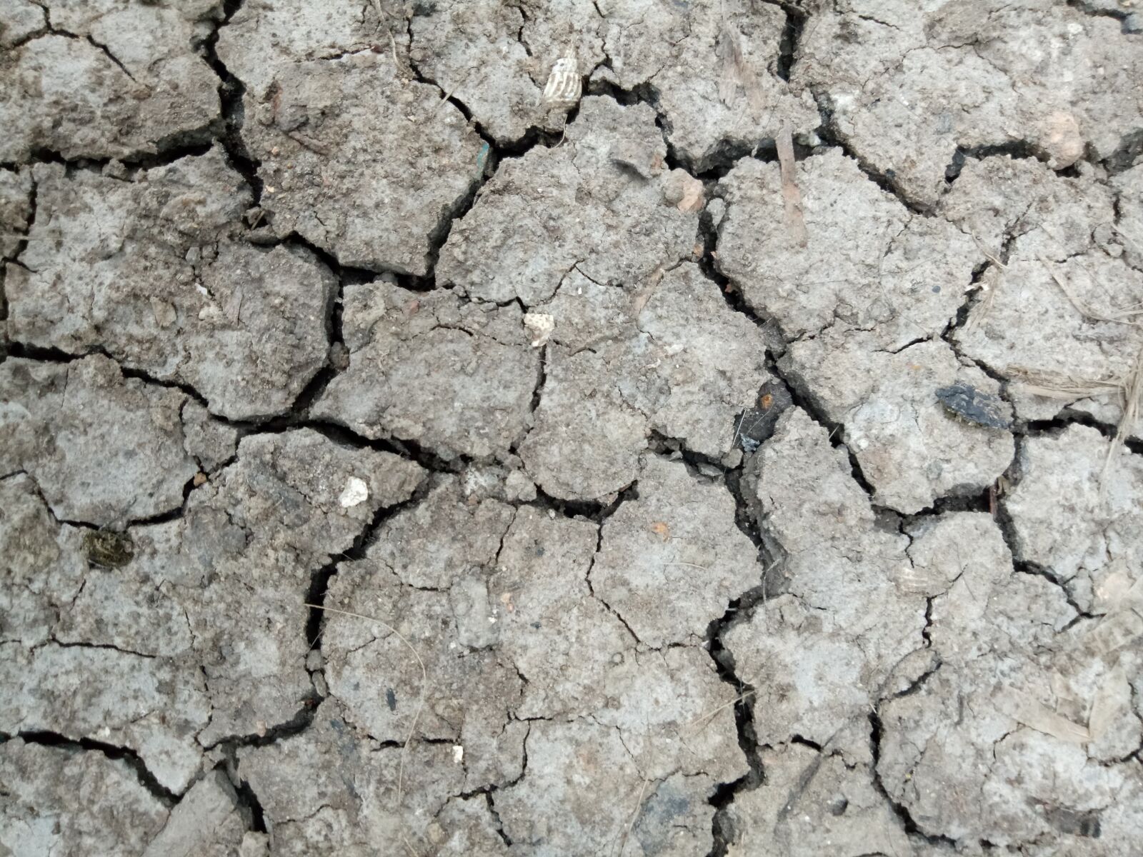 OPPO CPH1609 sample photo. Earth surface, drought, geology photography