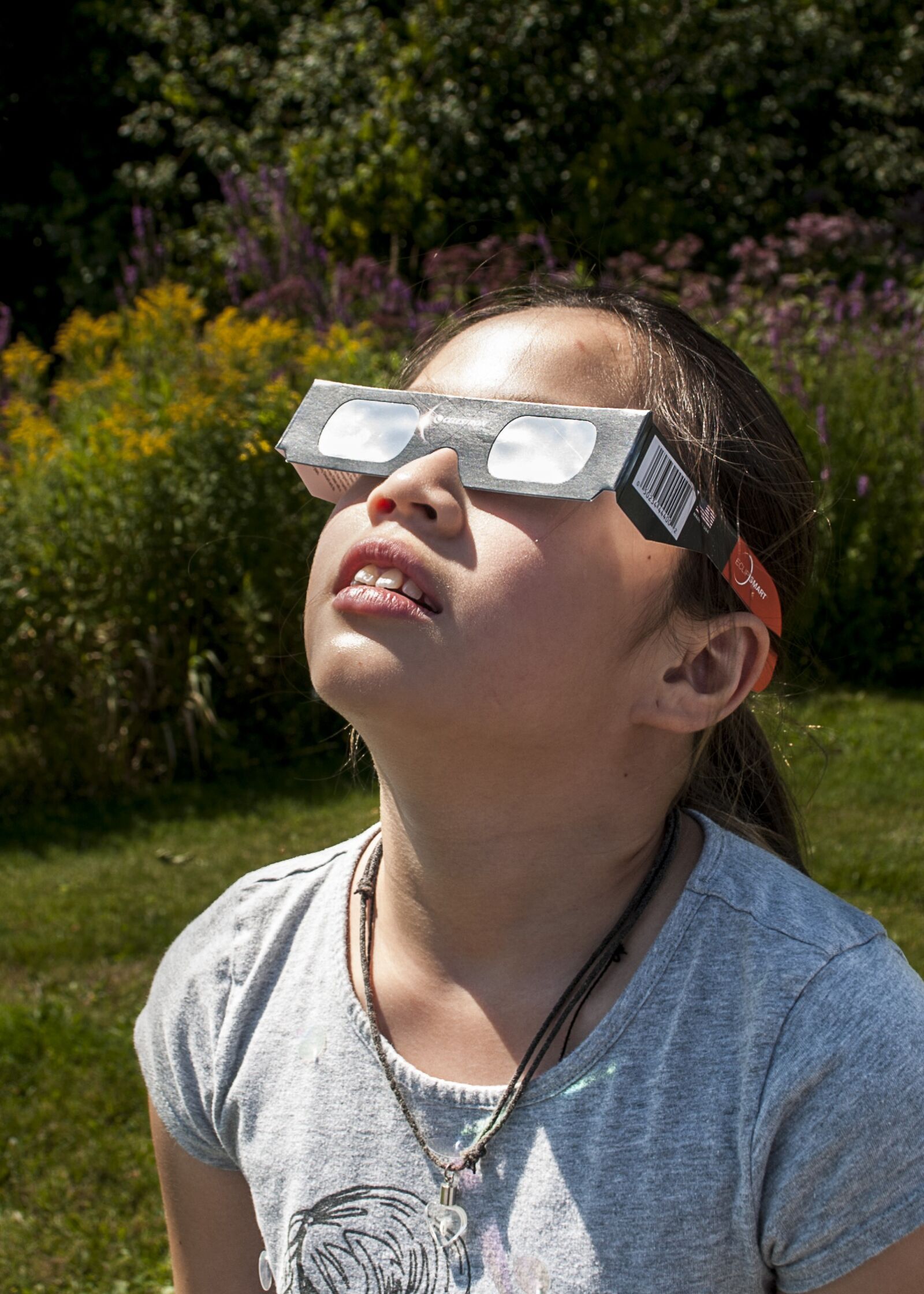 Nikon D60 sample photo. Eclipse, kids, eye protection photography