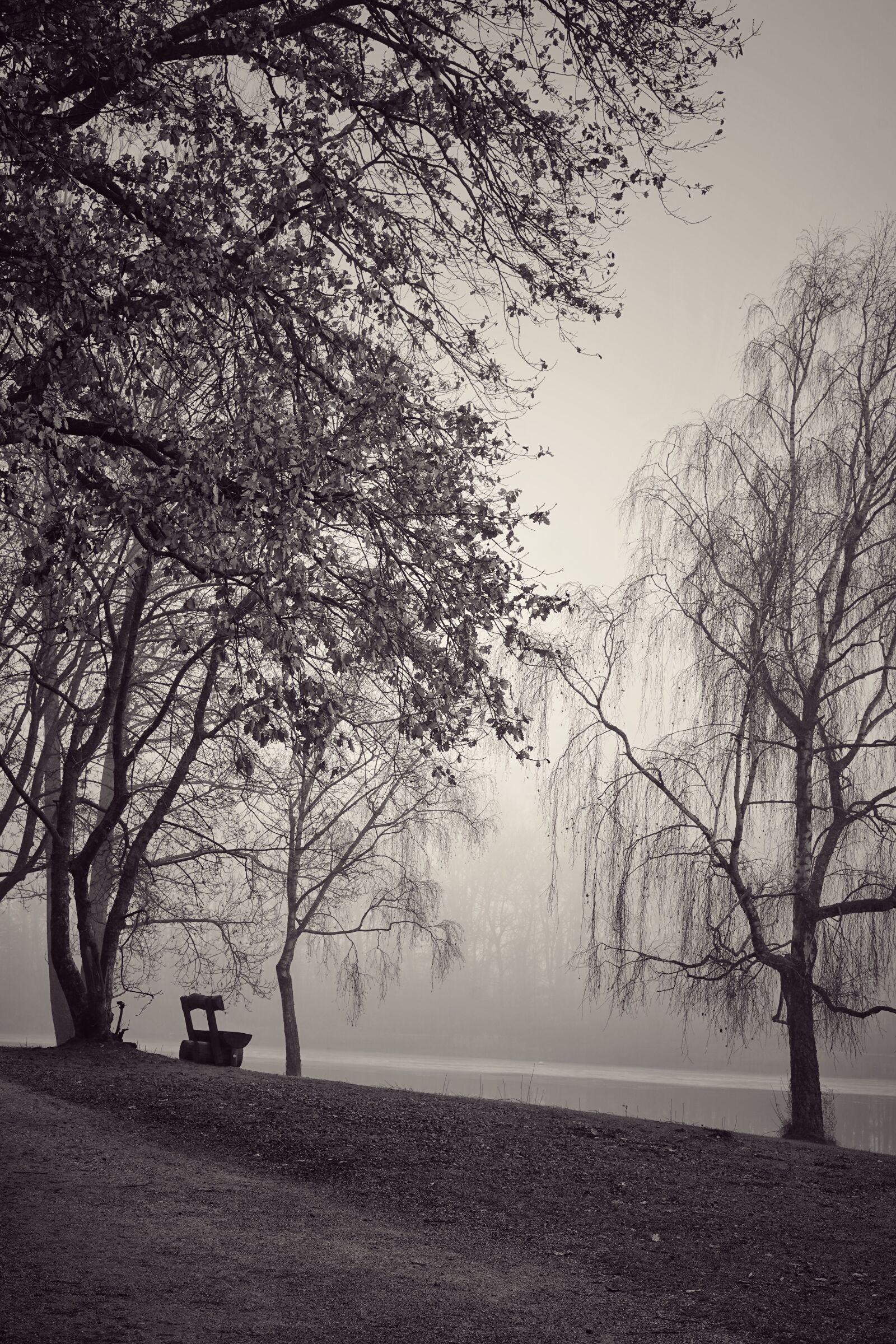 Sony a7 III + Sony FE 50mm F1.8 sample photo. Fog, black and white photography