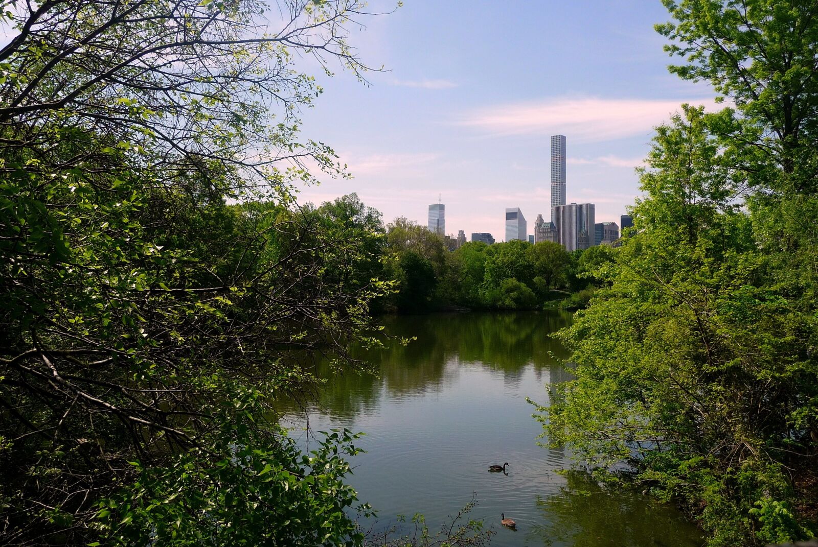 Panasonic Lumix DMC-TZ4 sample photo. City, lake, green photography