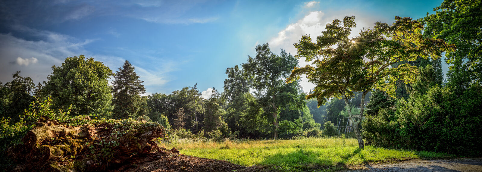 Canon EOS 5D Mark II sample photo. Arboretum, blue, sky, clouds photography