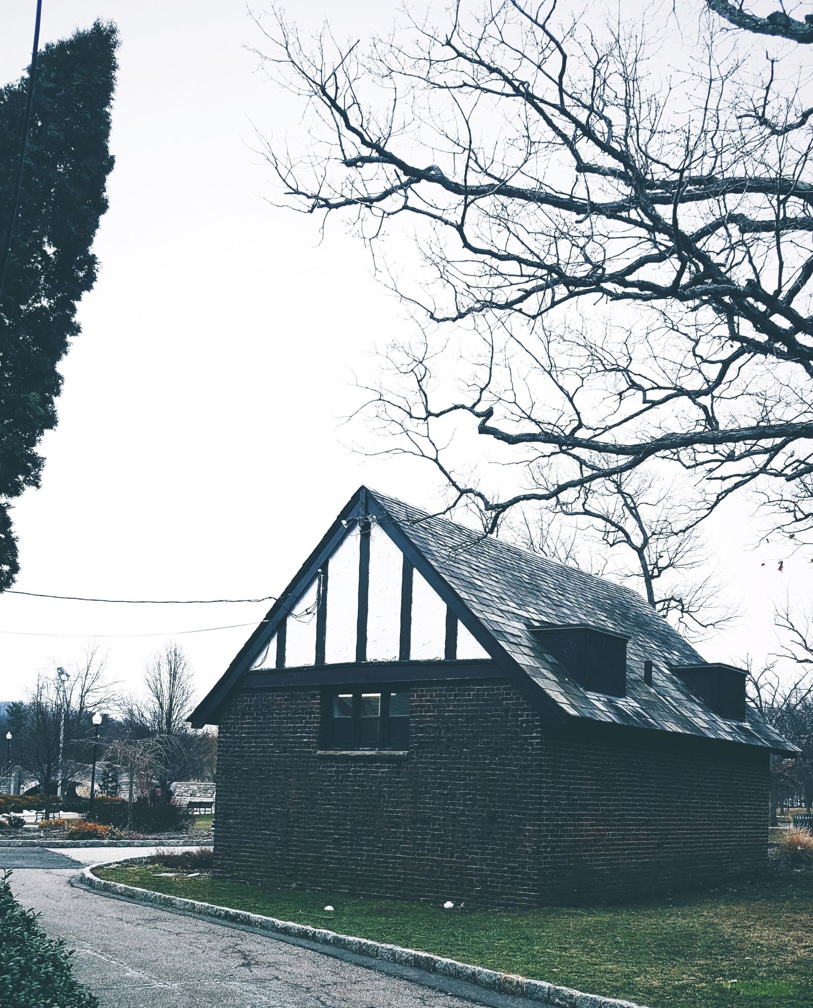 Samsung Galaxy Note5 sample photo. Tree, window, wood, architecture photography