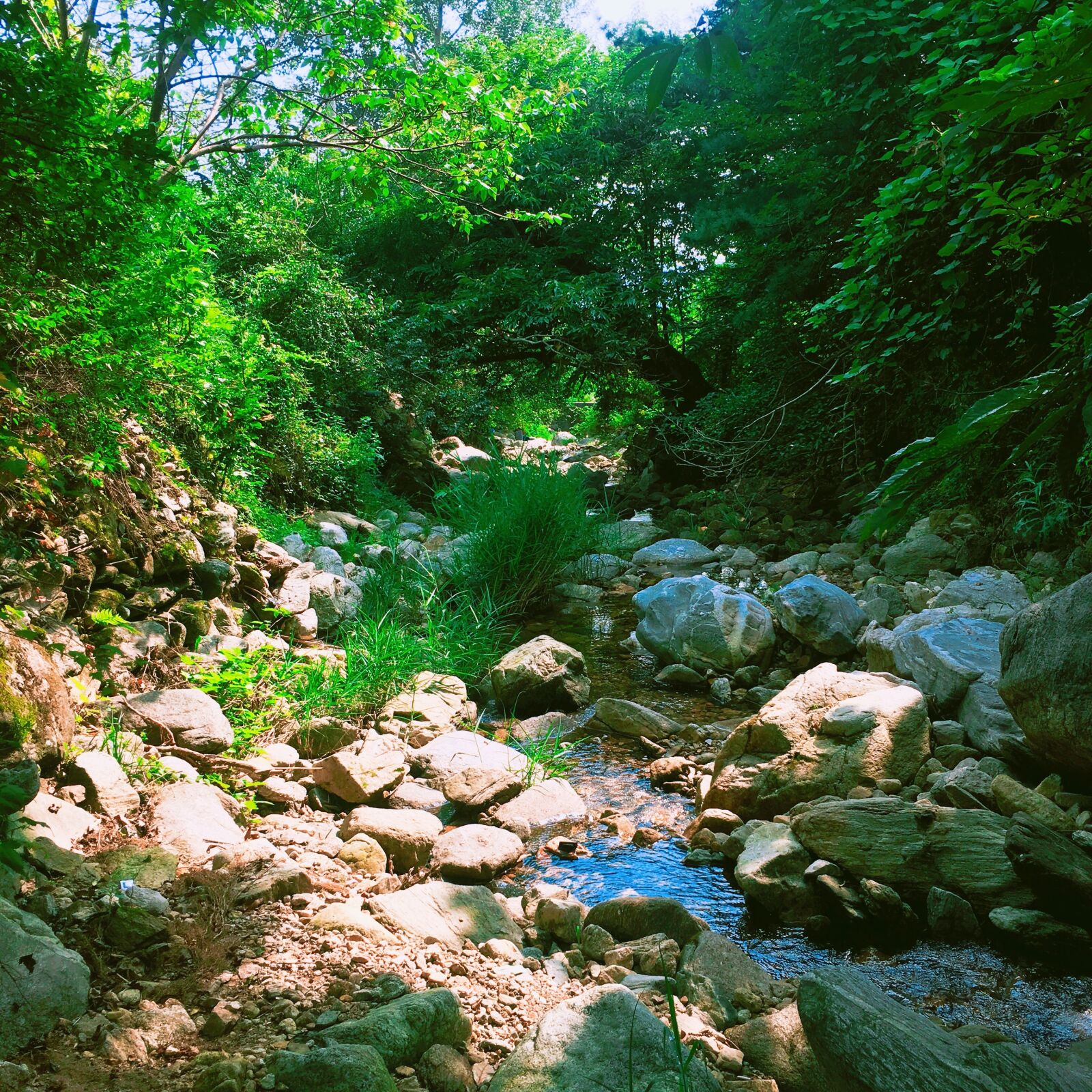 Apple iPhone 6s sample photo. Mountain, nature, valley photography