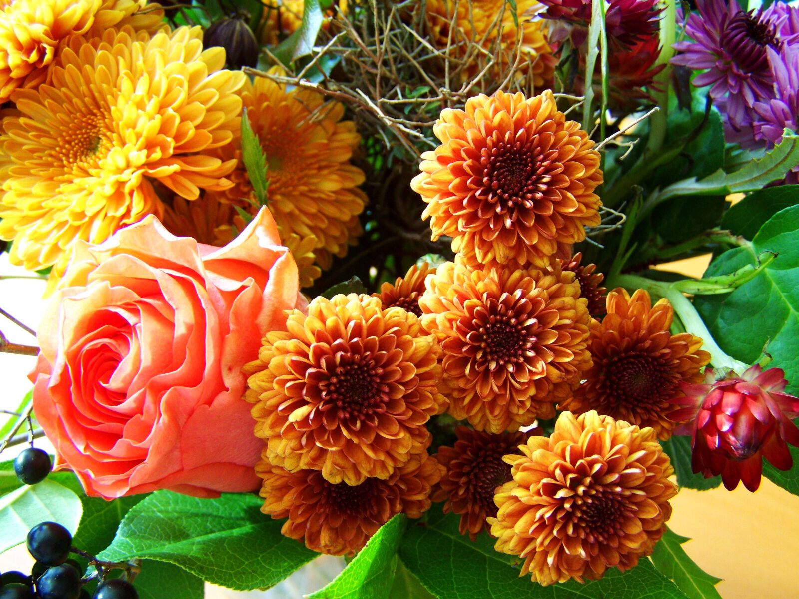 Kodak EASYSHARE ZD710 ZOOM DIGITAL CAMERA sample photo. Bunch of flowers, autumn photography