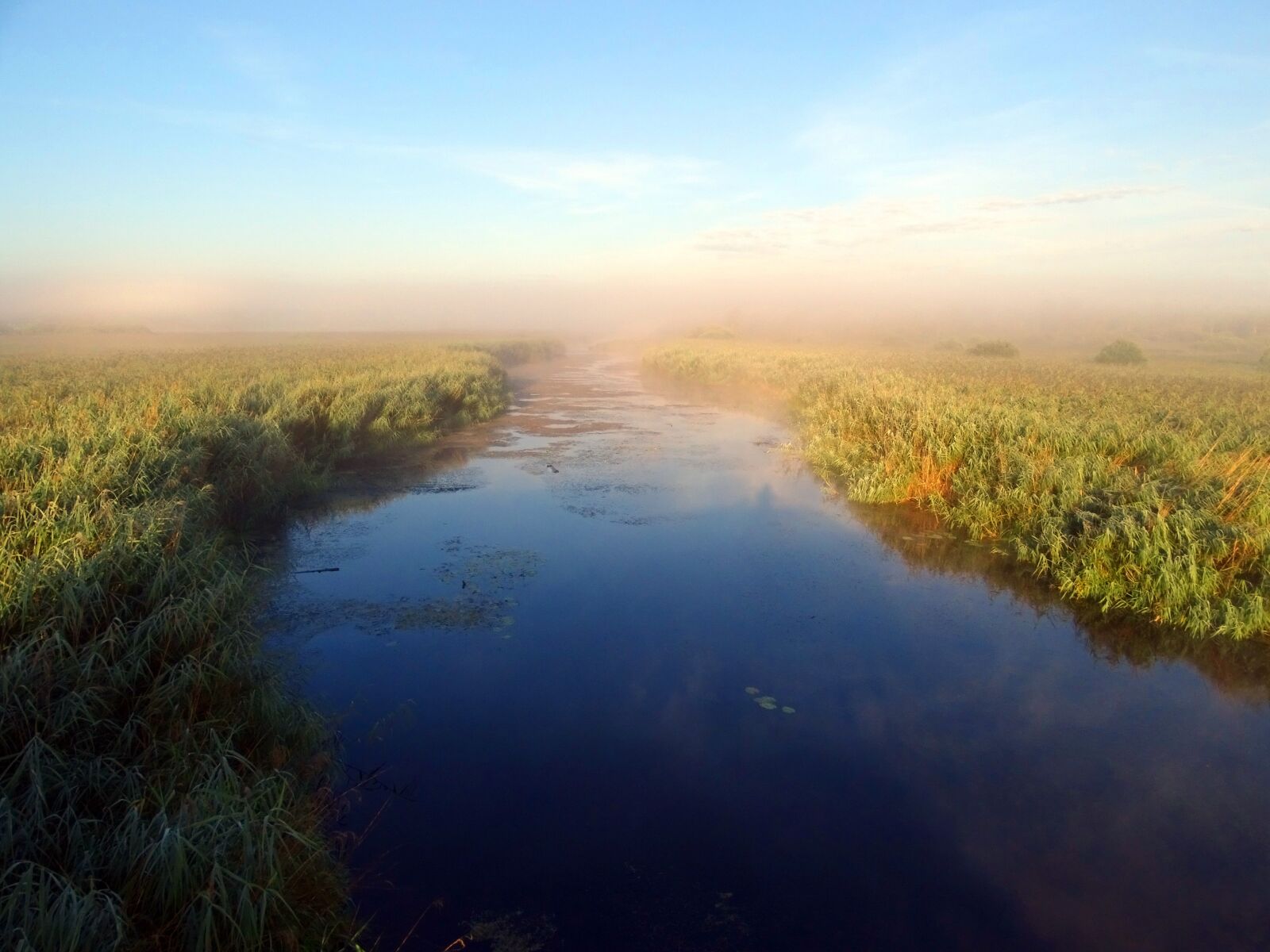 Sony Cyber-shot DSC-HX400V sample photo. River, bank, morning photography