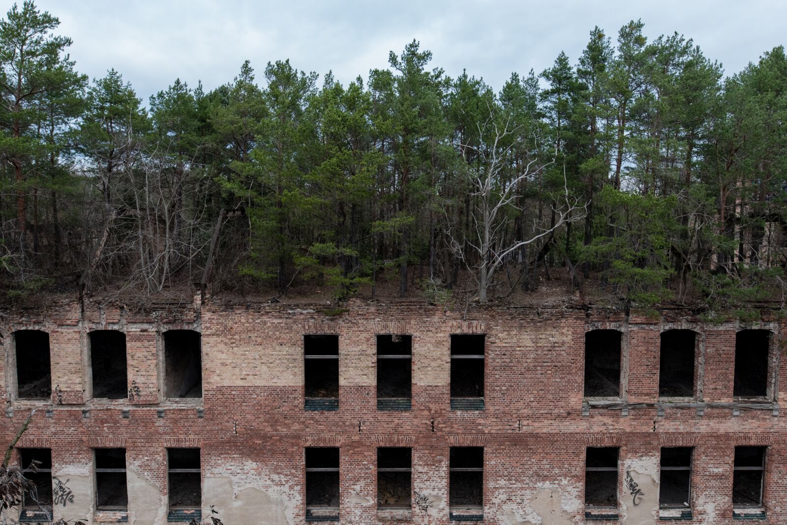 Nikon D750 sample photo. Beelitz, health resorts, ruin photography