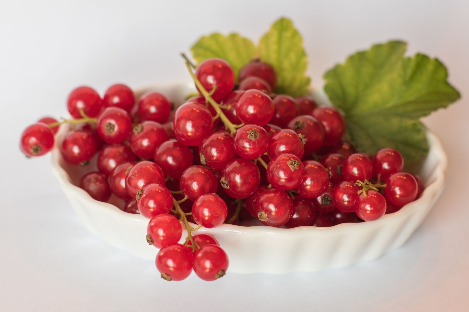 Nikon D5500 sample photo. Currants, red summer, healthy photography