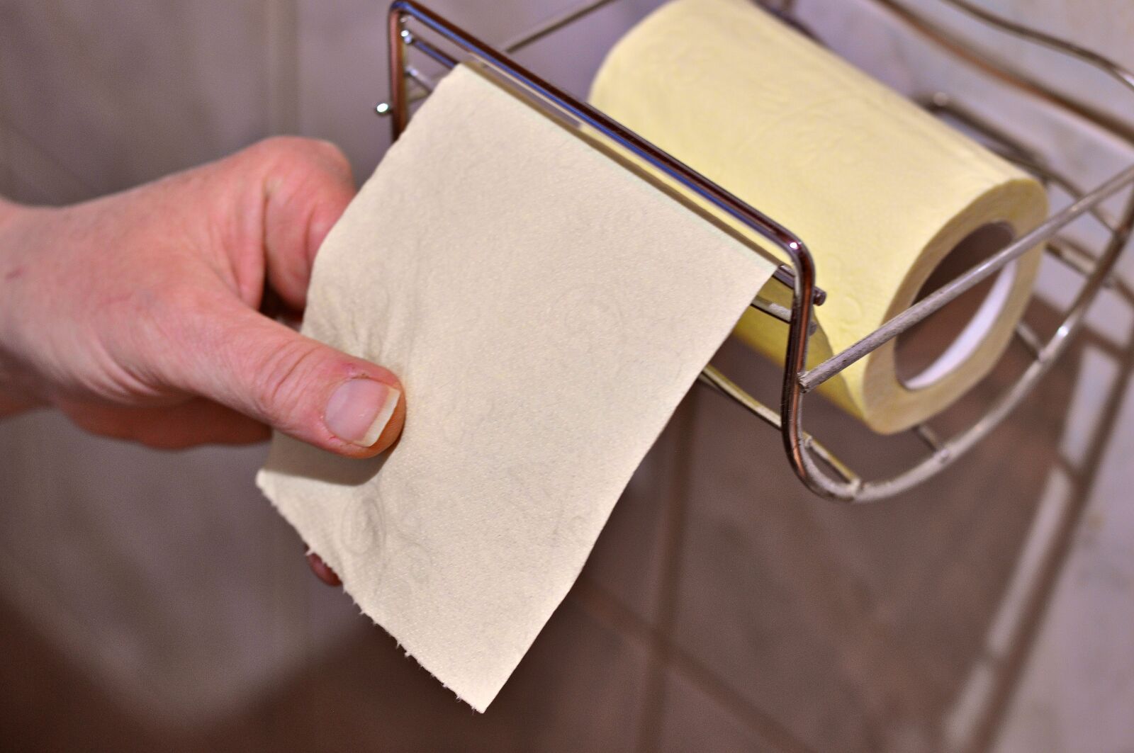 Nikon D90 sample photo. Hygiene, toilet, role photography