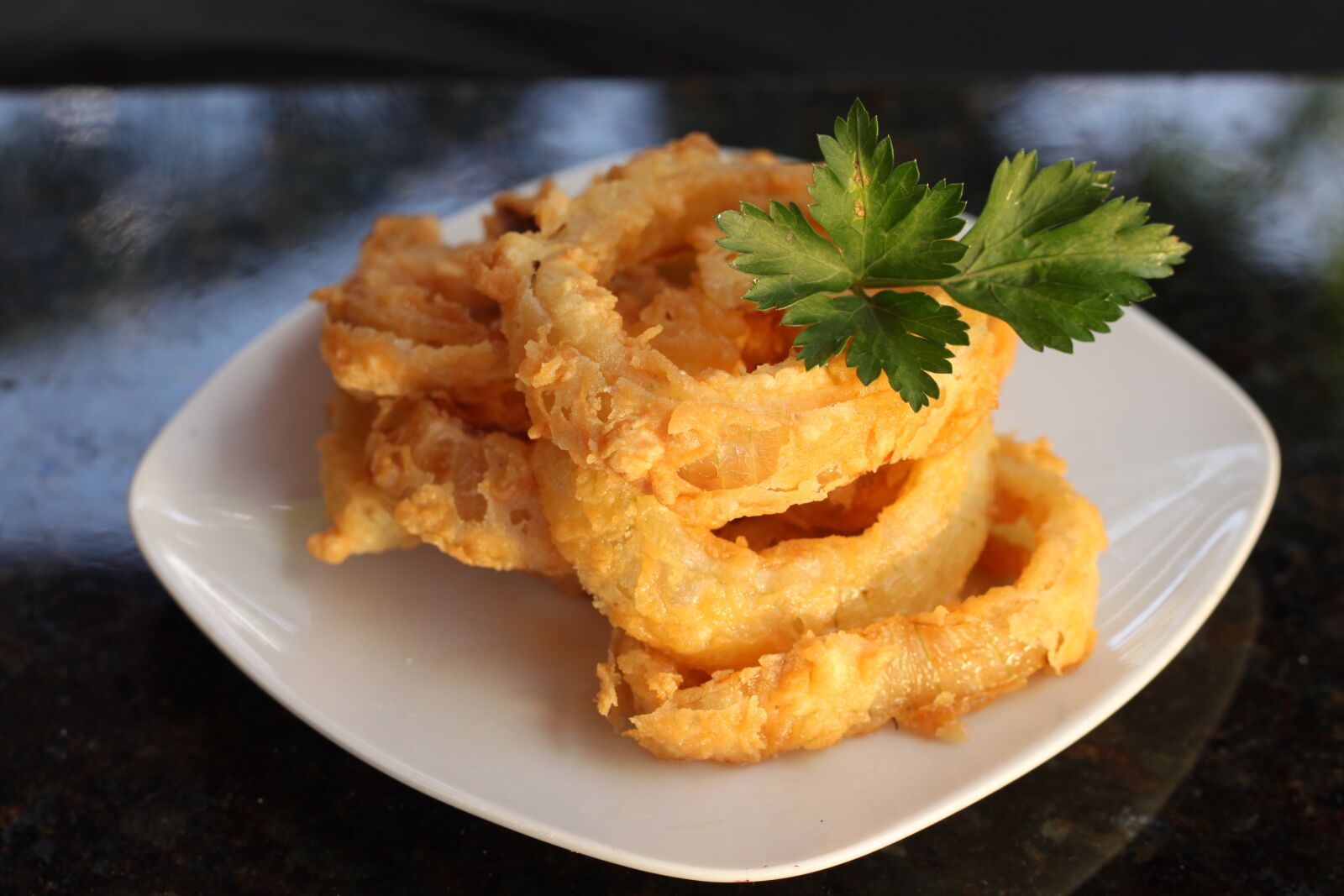 Canon EOS 500D (EOS Rebel T1i / EOS Kiss X3) sample photo. Onion, frying, contour photography