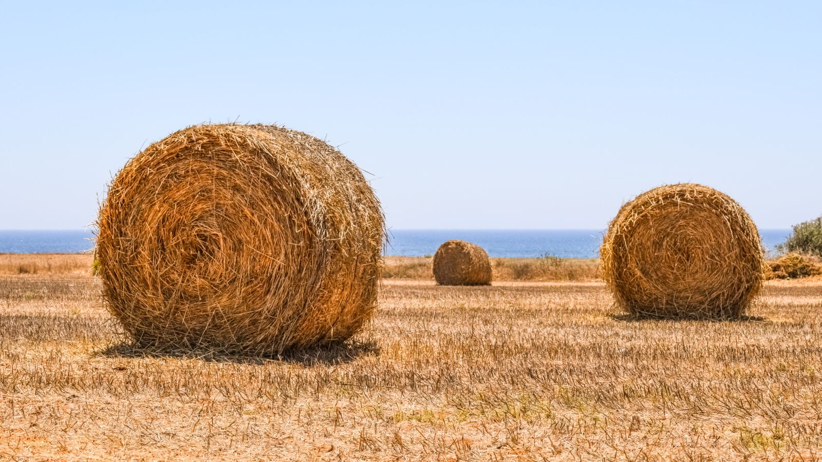Nikon D3300 sample photo. Hay bales, field, agriculture photography