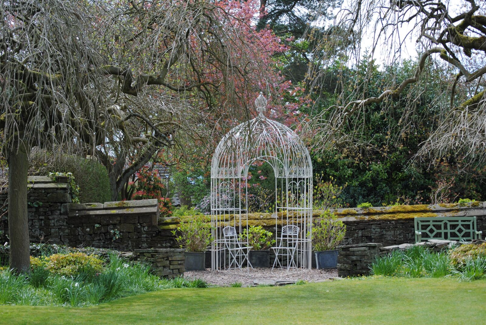 Nikon D3000 sample photo. Birdcage, garden, floral photography