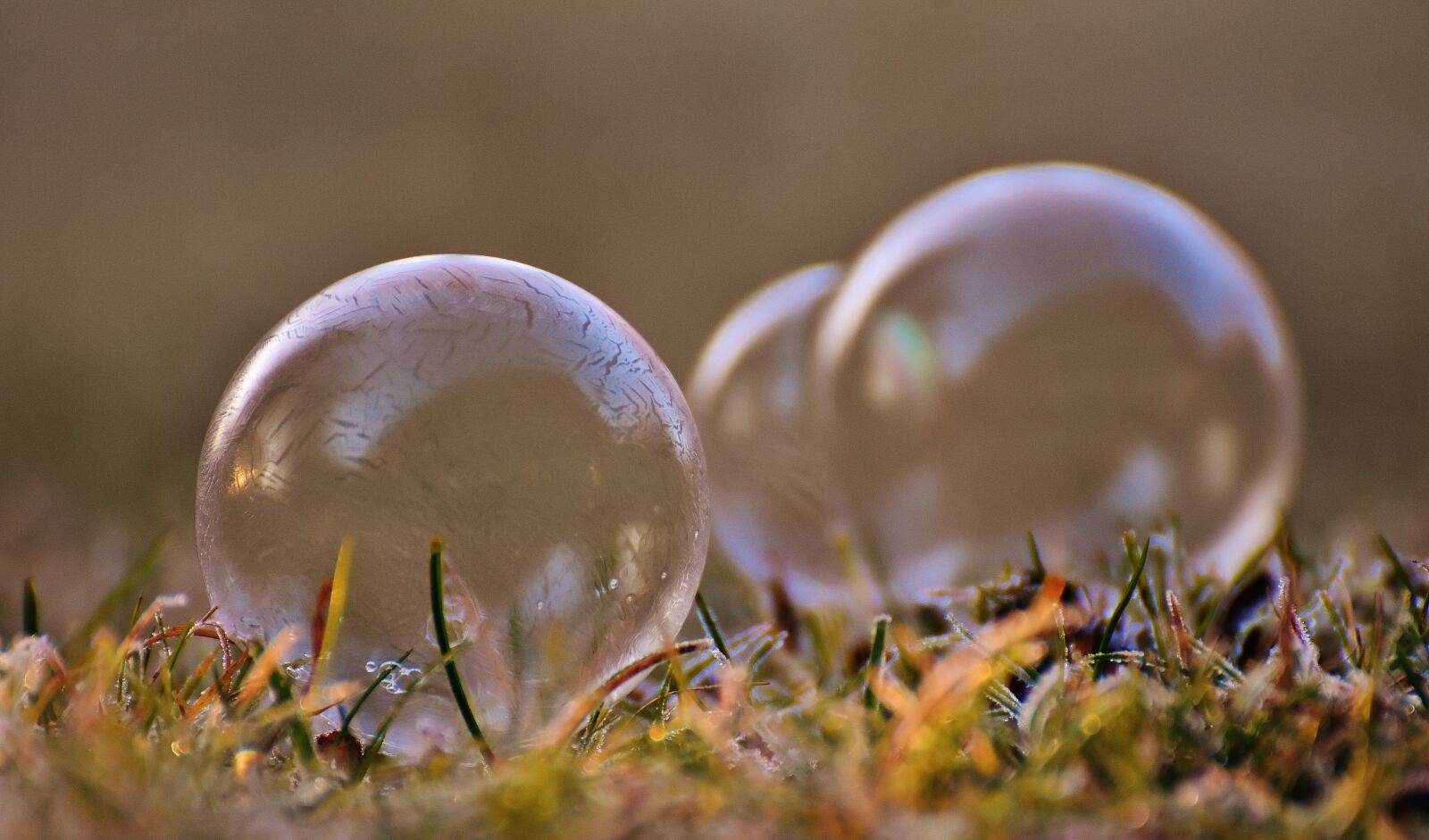 Nikon D7200 sample photo. Soap bubble, frozen, winter photography