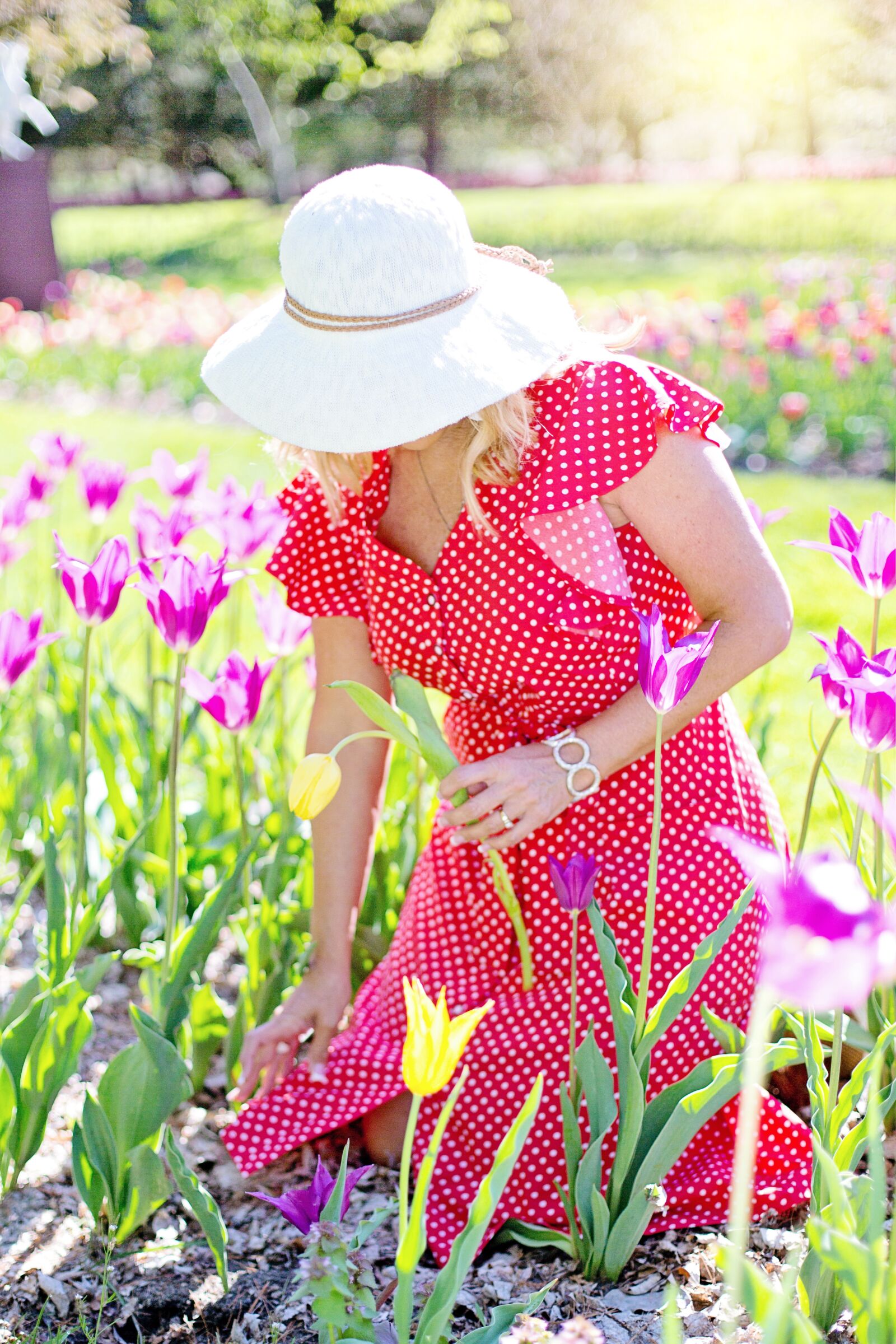 Canon EF 50mm F1.4 USM sample photo. Garden, gardening, flowers photography