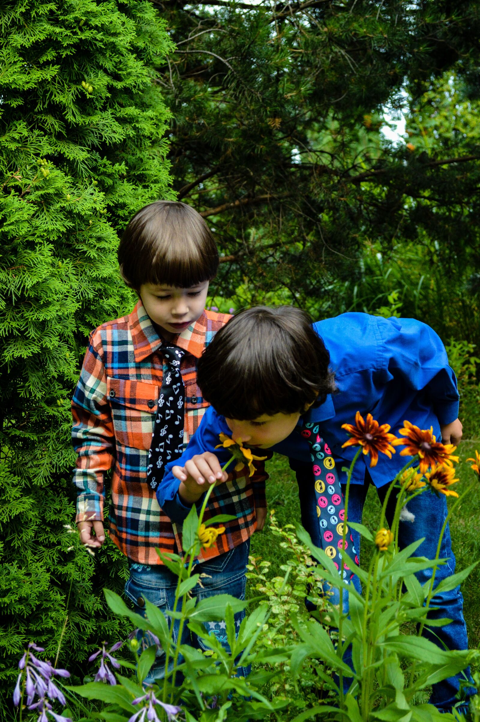 Nikon D3200 sample photo. Kids, garden, flowers photography