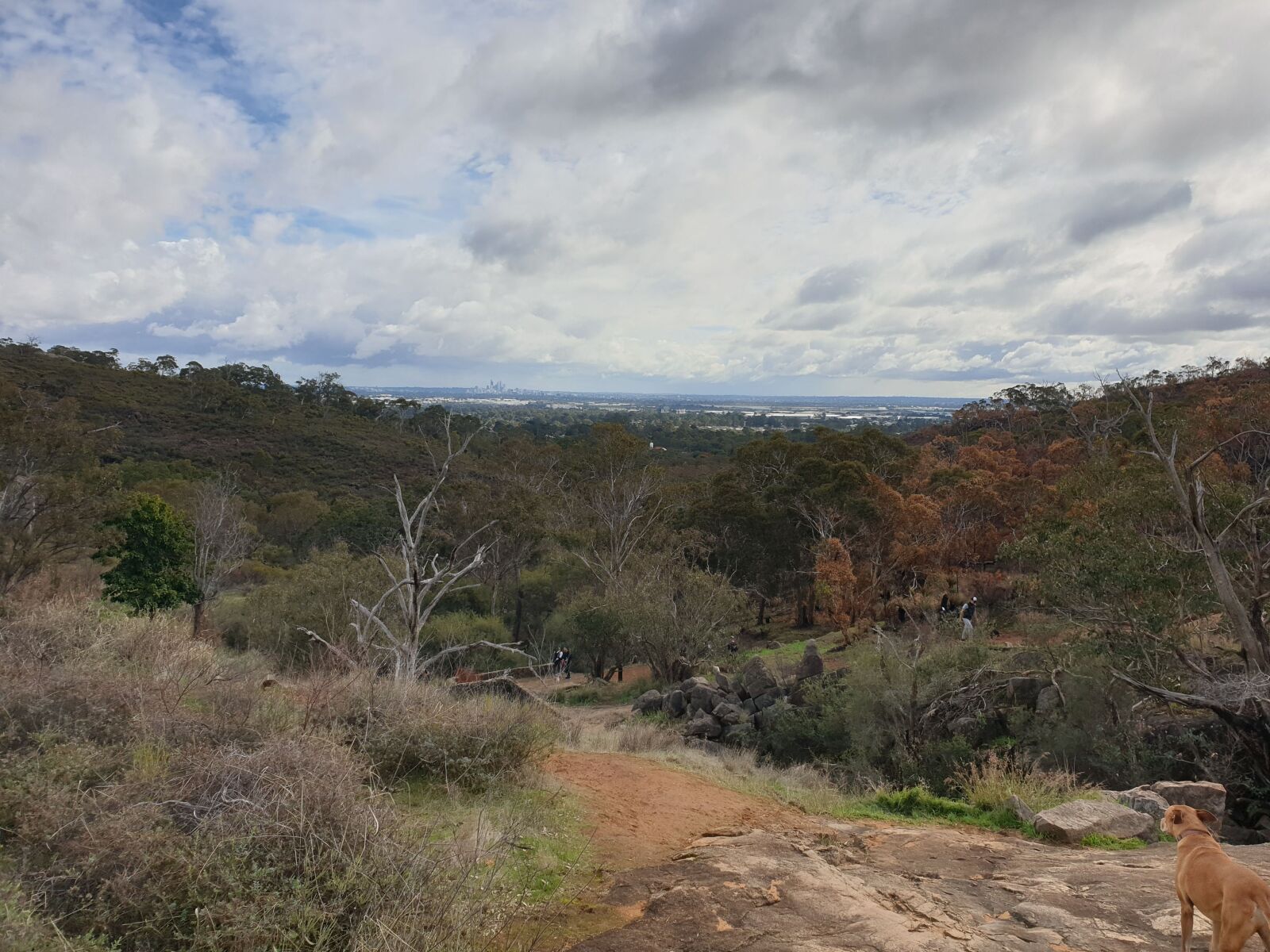 Samsung Galaxy S9 sample photo. Australia, perth hills, western photography