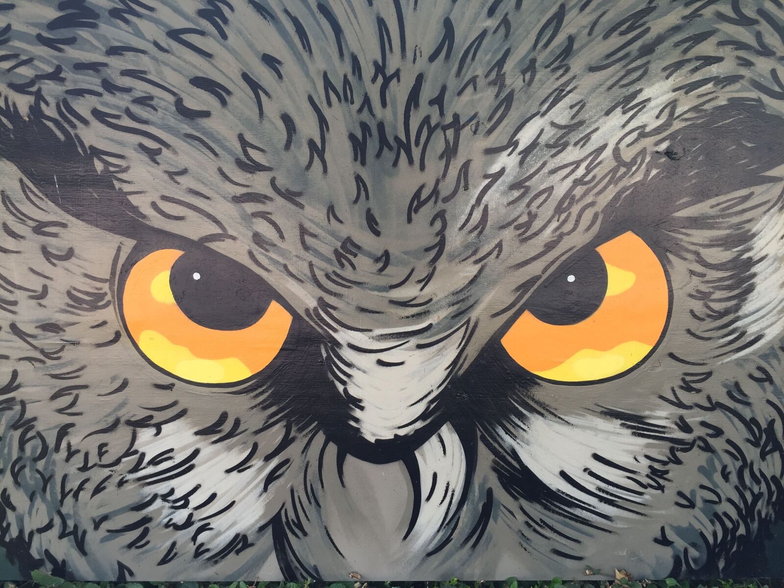 Apple iPhone 6 sample photo. Eagle owl, art, owl photography