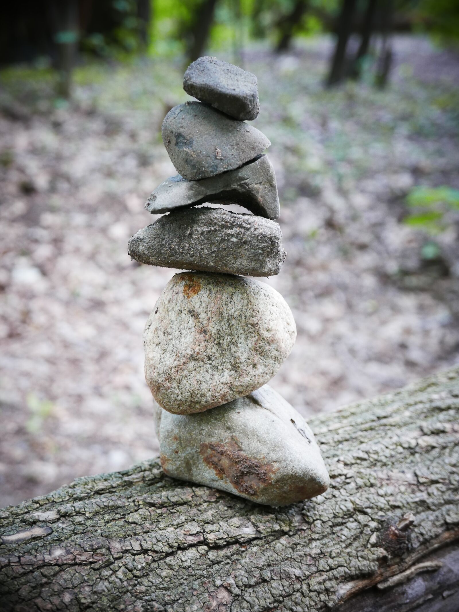 Panasonic Lumix DMC-LX100 sample photo. Zen, balance, te photography