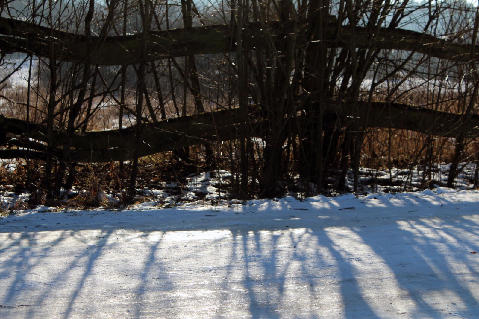 Canon EOS 600D (Rebel EOS T3i / EOS Kiss X5) sample photo. Winter, schnee, wald photography