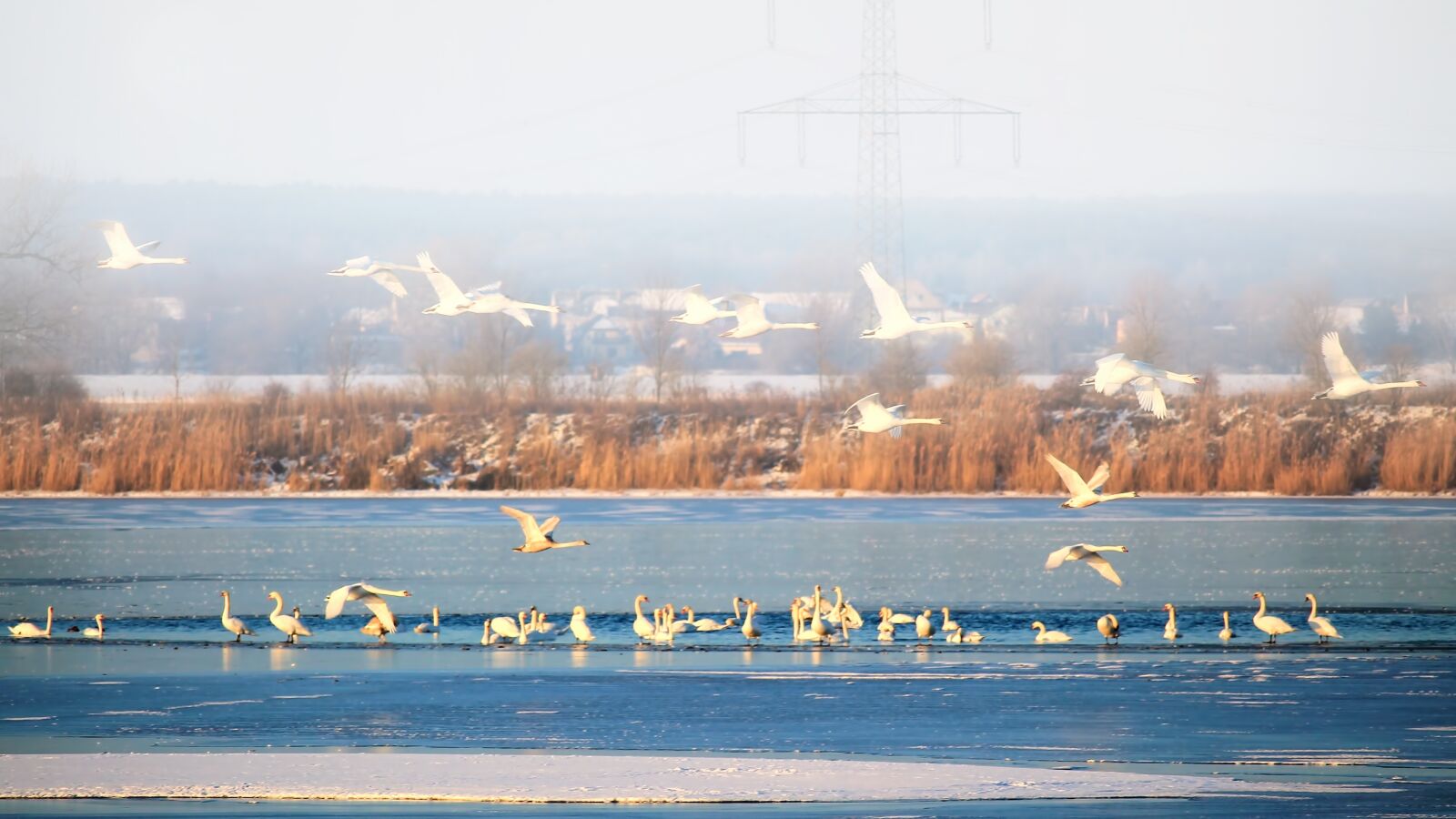 Canon EF-S 55-250mm F4-5.6 IS STM sample photo. Landscape, winter, lake photography