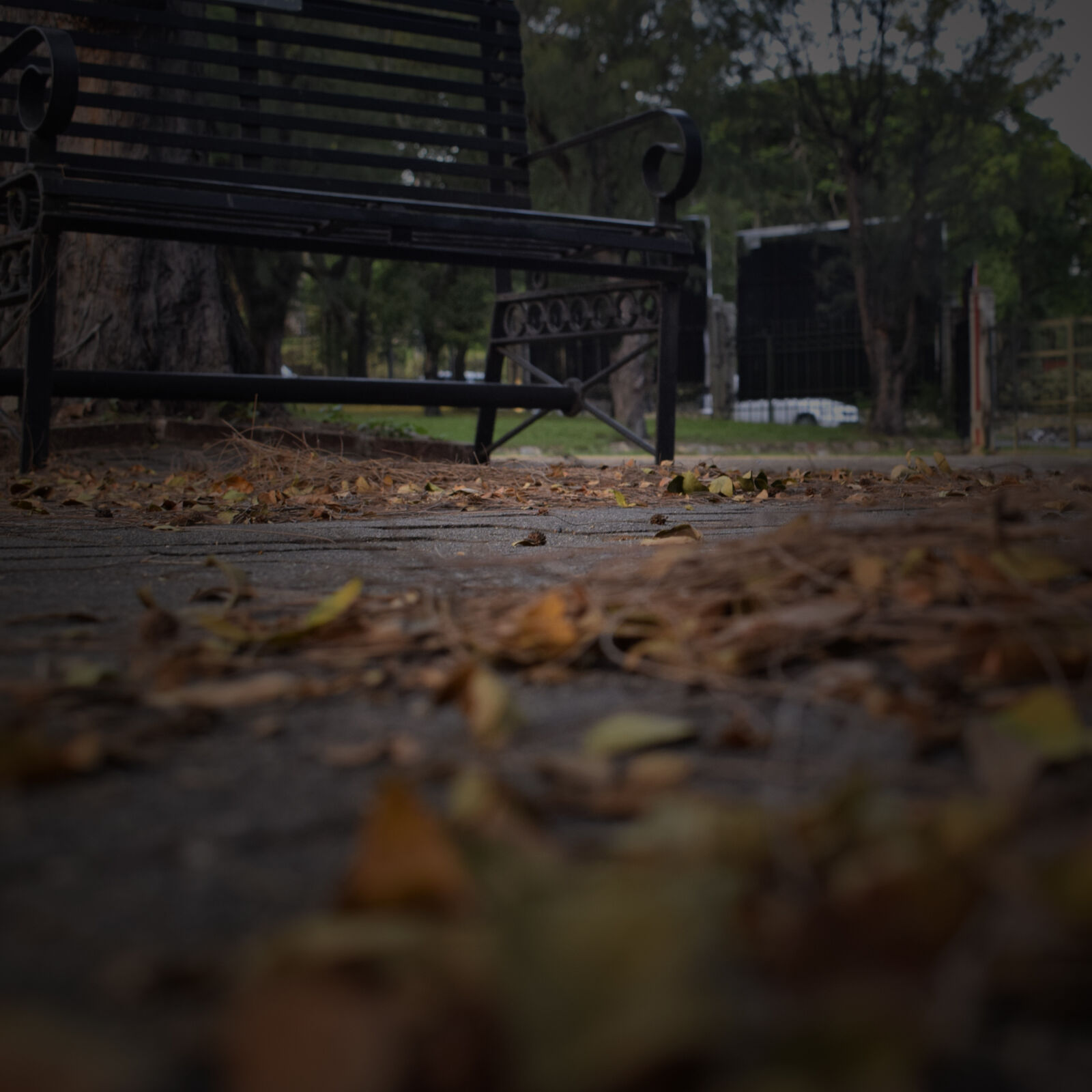 Nikon D5300 sample photo. Autumn, fall, solitude photography