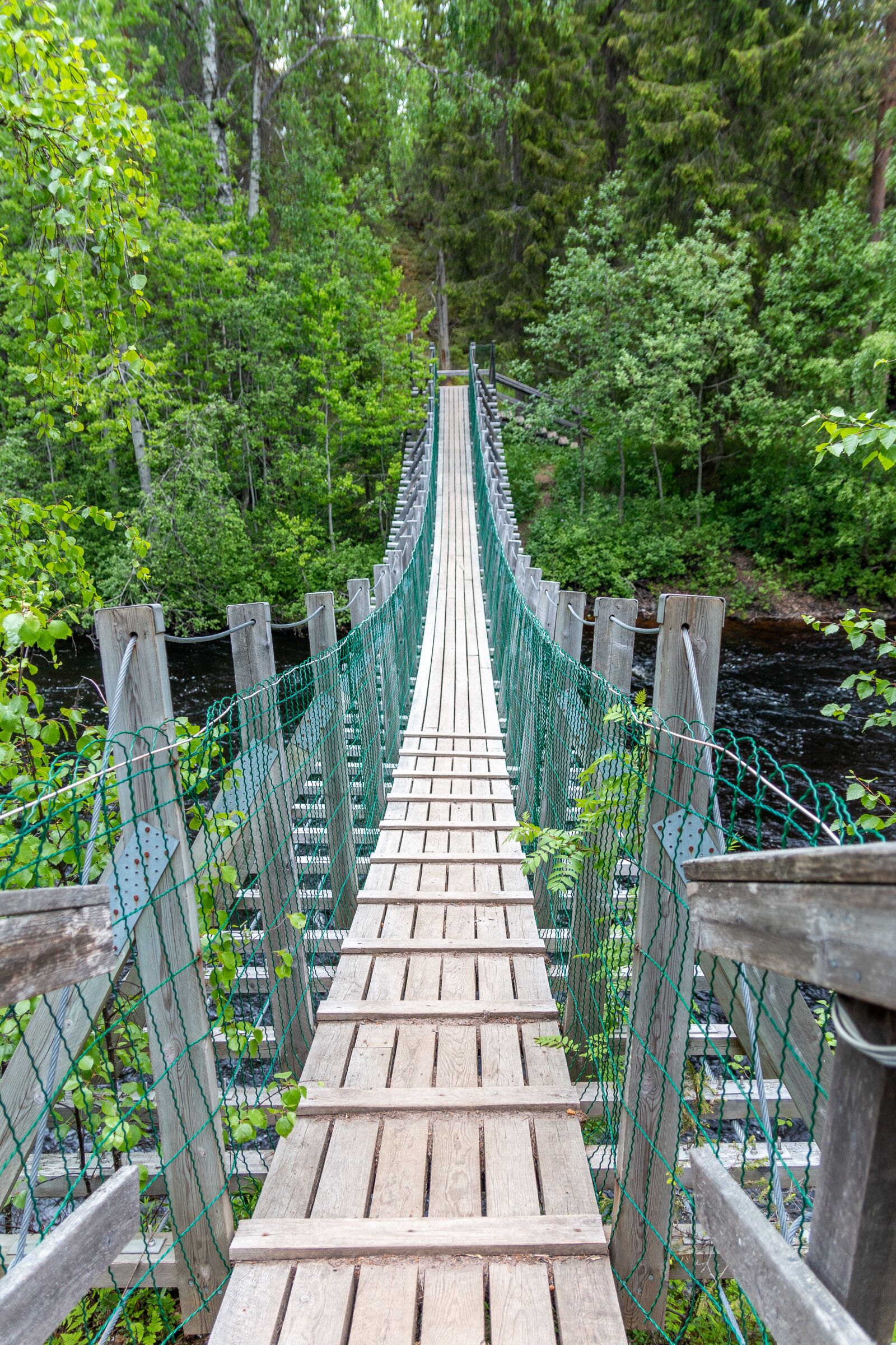 Canon EOS 70D sample photo. Suspension bridge, bridge, water photography