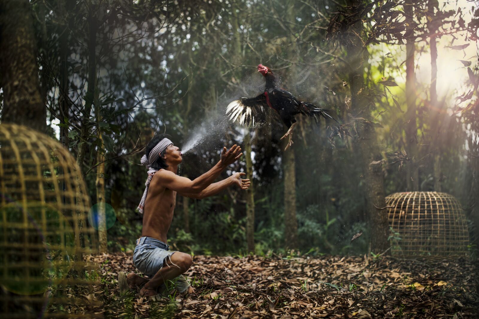 Canon EF 100mm F2.8L Macro IS USM sample photo. Rooster, thailand, fight photography