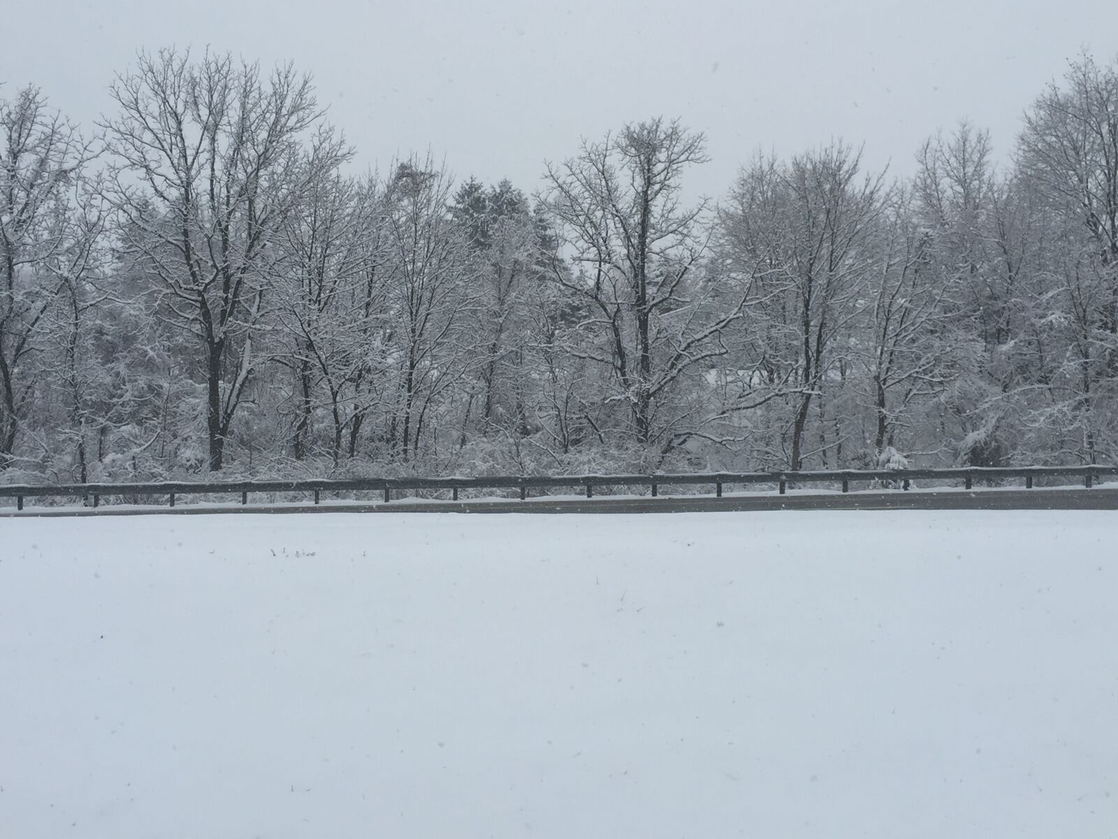 iPhone 6 Plus back camera 4.15mm f/2.2 sample photo. Tennessee, snow photography