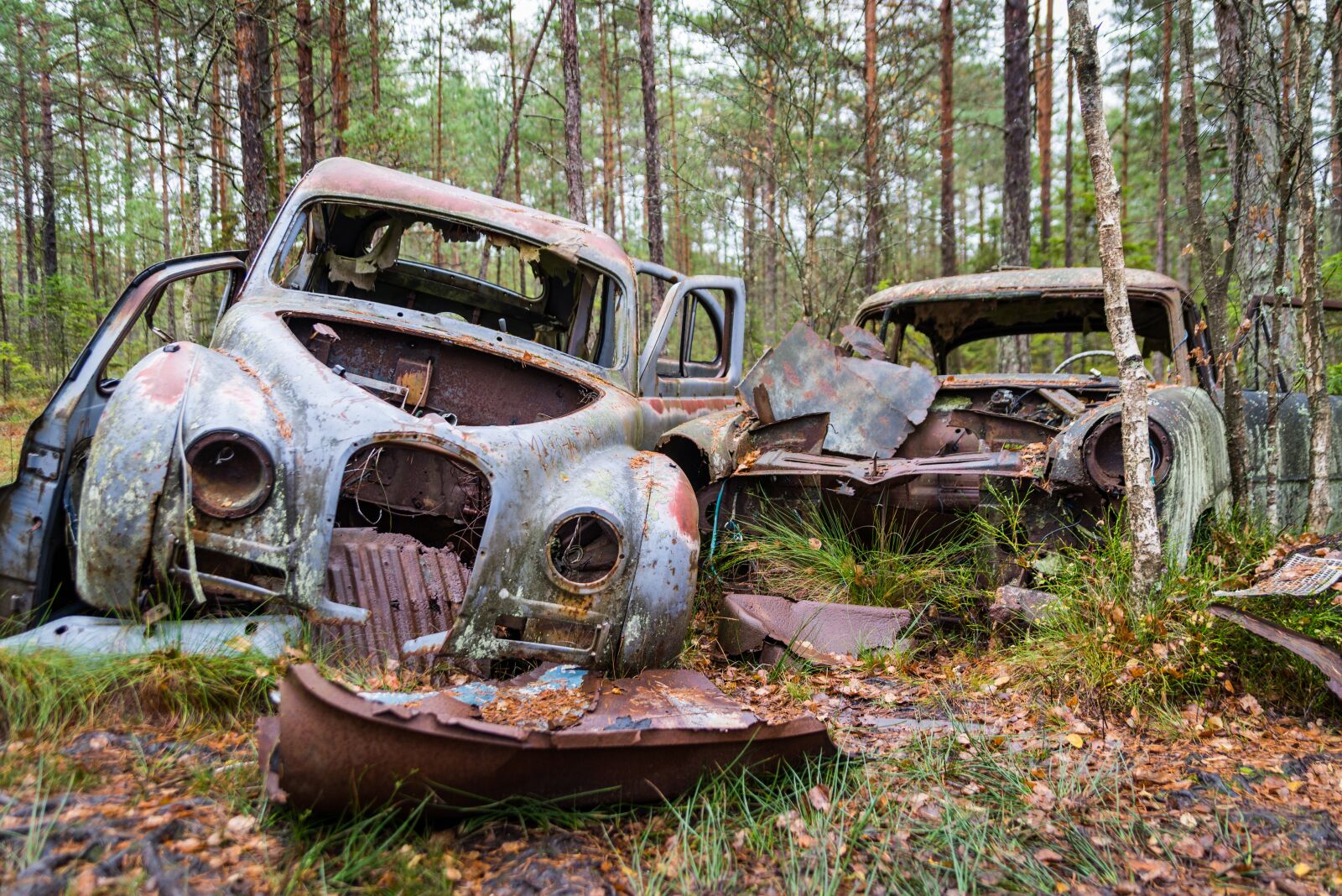 Nikon D600 sample photo. Cars, left, car photography