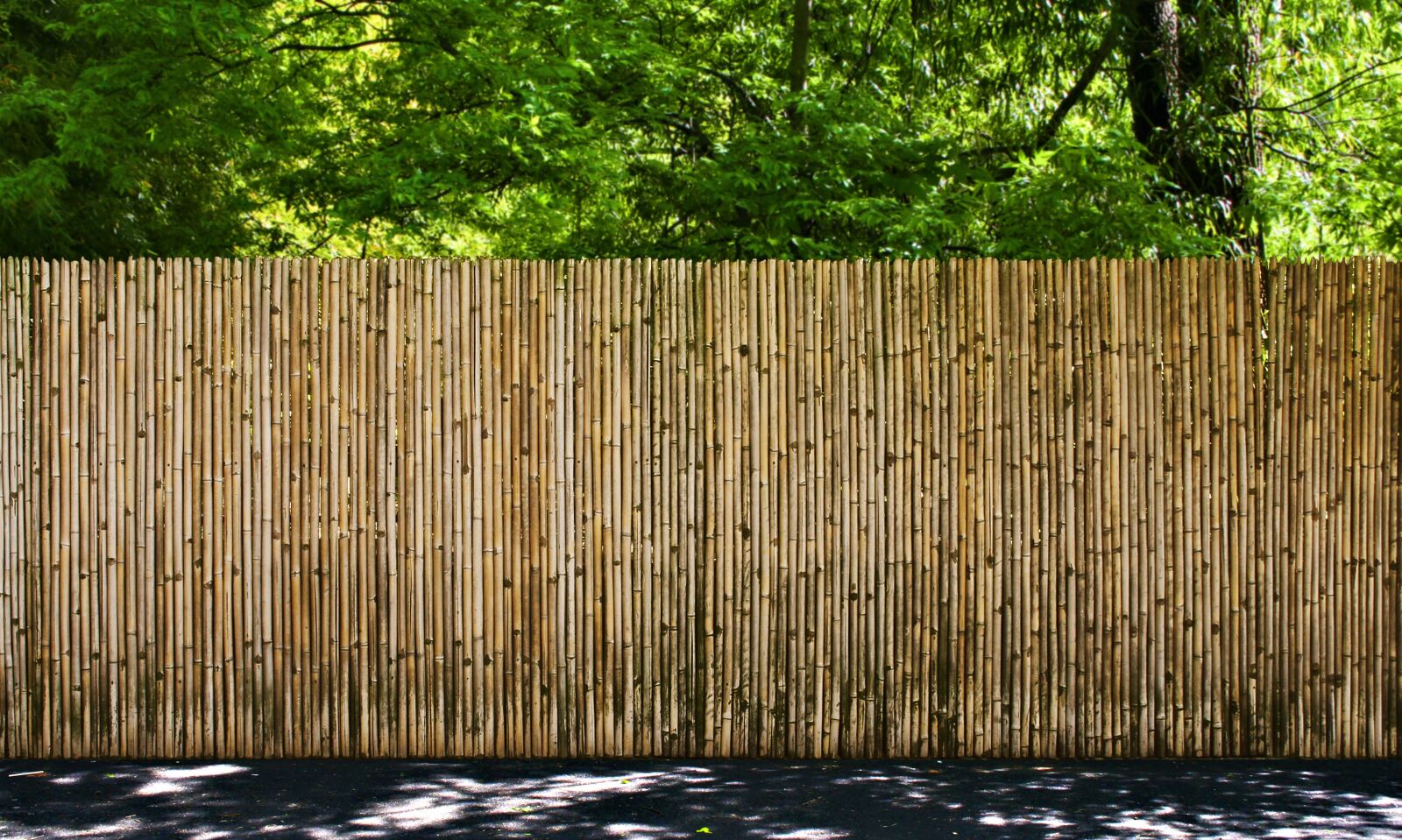 Canon EOS 30D sample photo. Fence, bamboo, outdoors photography