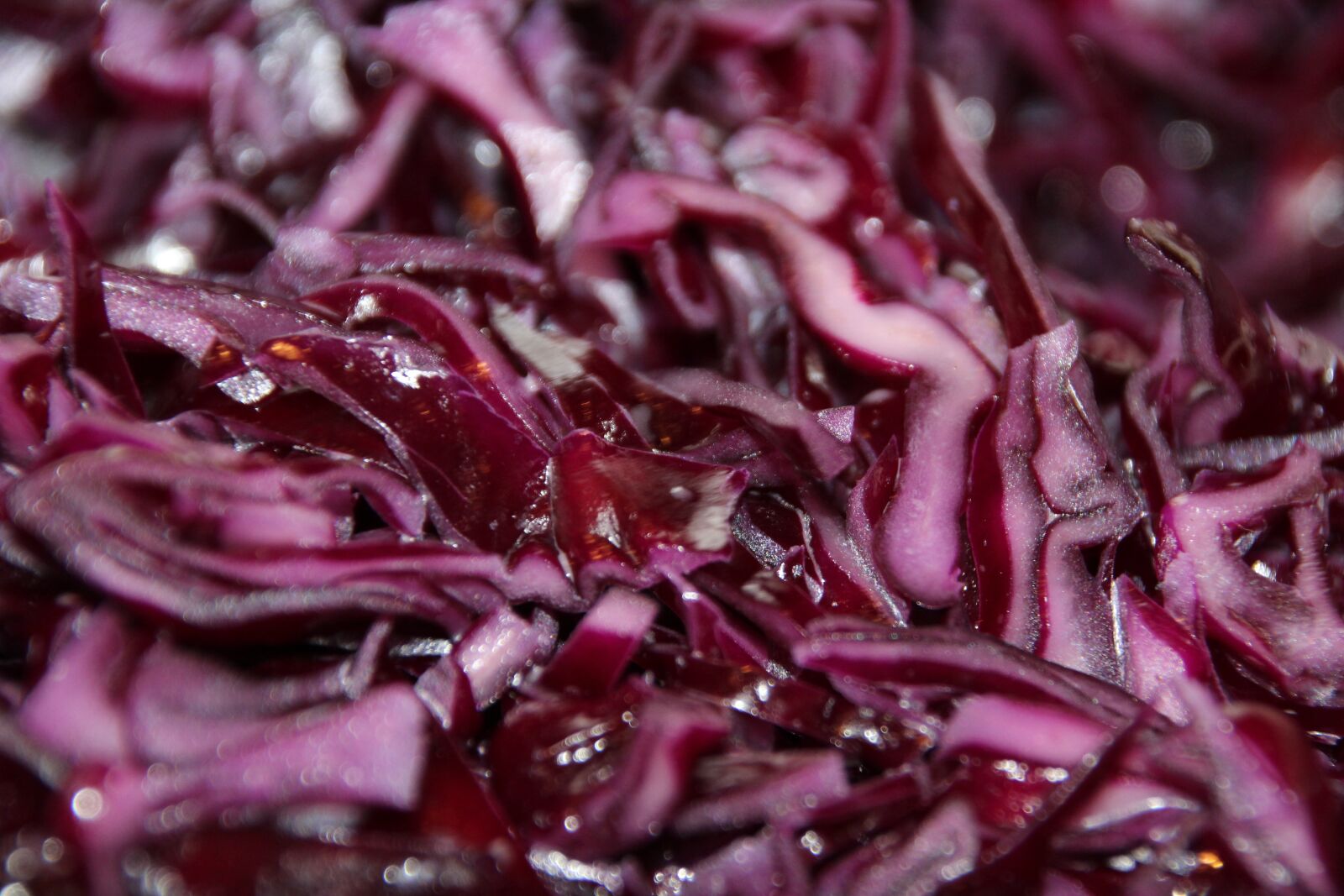 Canon EOS 1200D (EOS Rebel T5 / EOS Kiss X70 / EOS Hi) sample photo. Red cabbage, eat, w photography