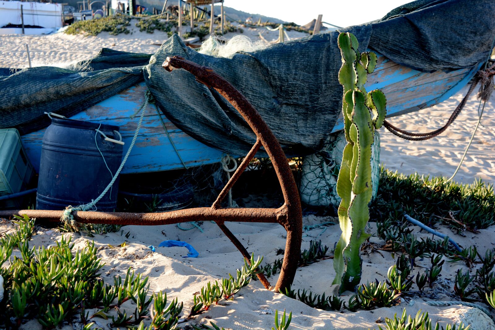 Nikon D5200 sample photo. Iron, cactus, blue photography