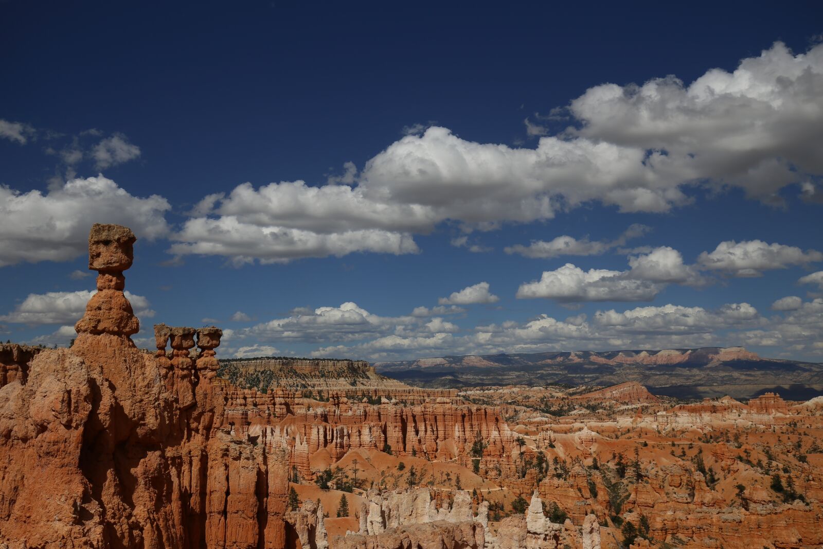 Canon EF 16-35mm F4L IS USM sample photo. Bryce canyon, united states photography