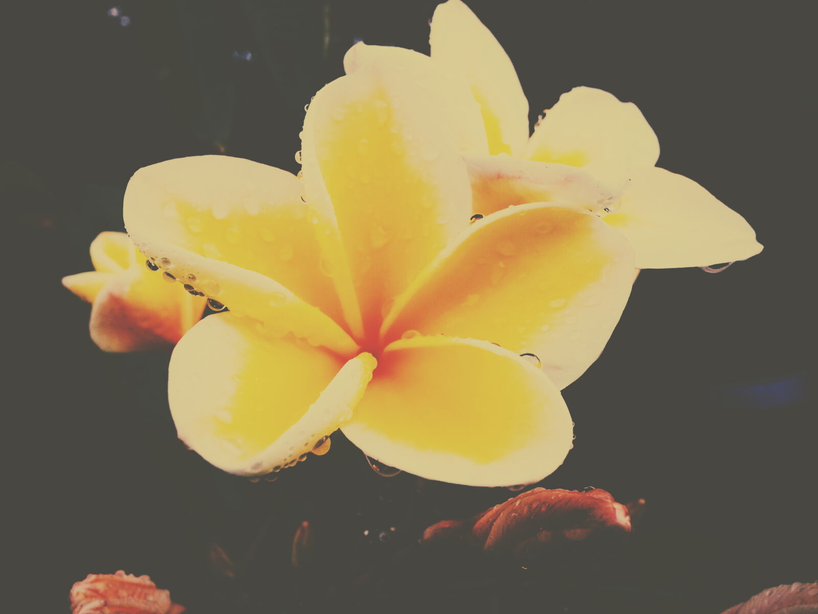 Samsung Galaxy Note2 sample photo