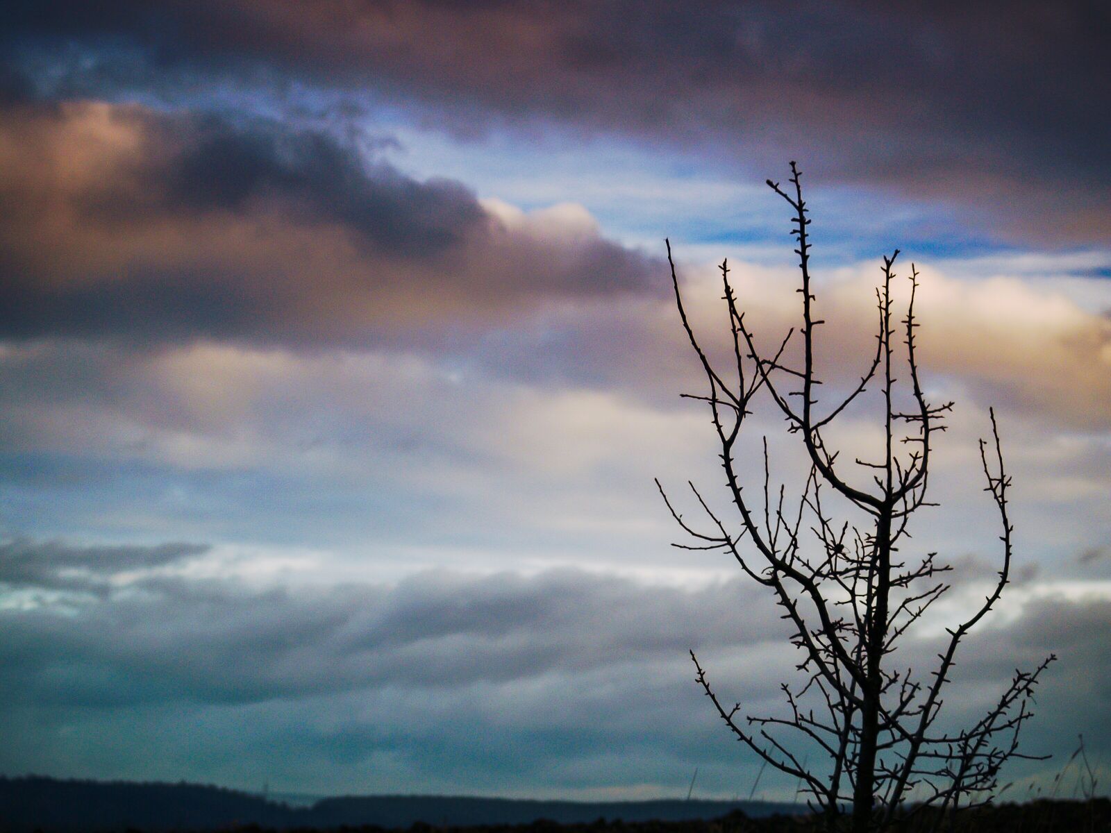 Olympus E-500 (EVOLT E-500) sample photo. Landscape, clouds, tree photography