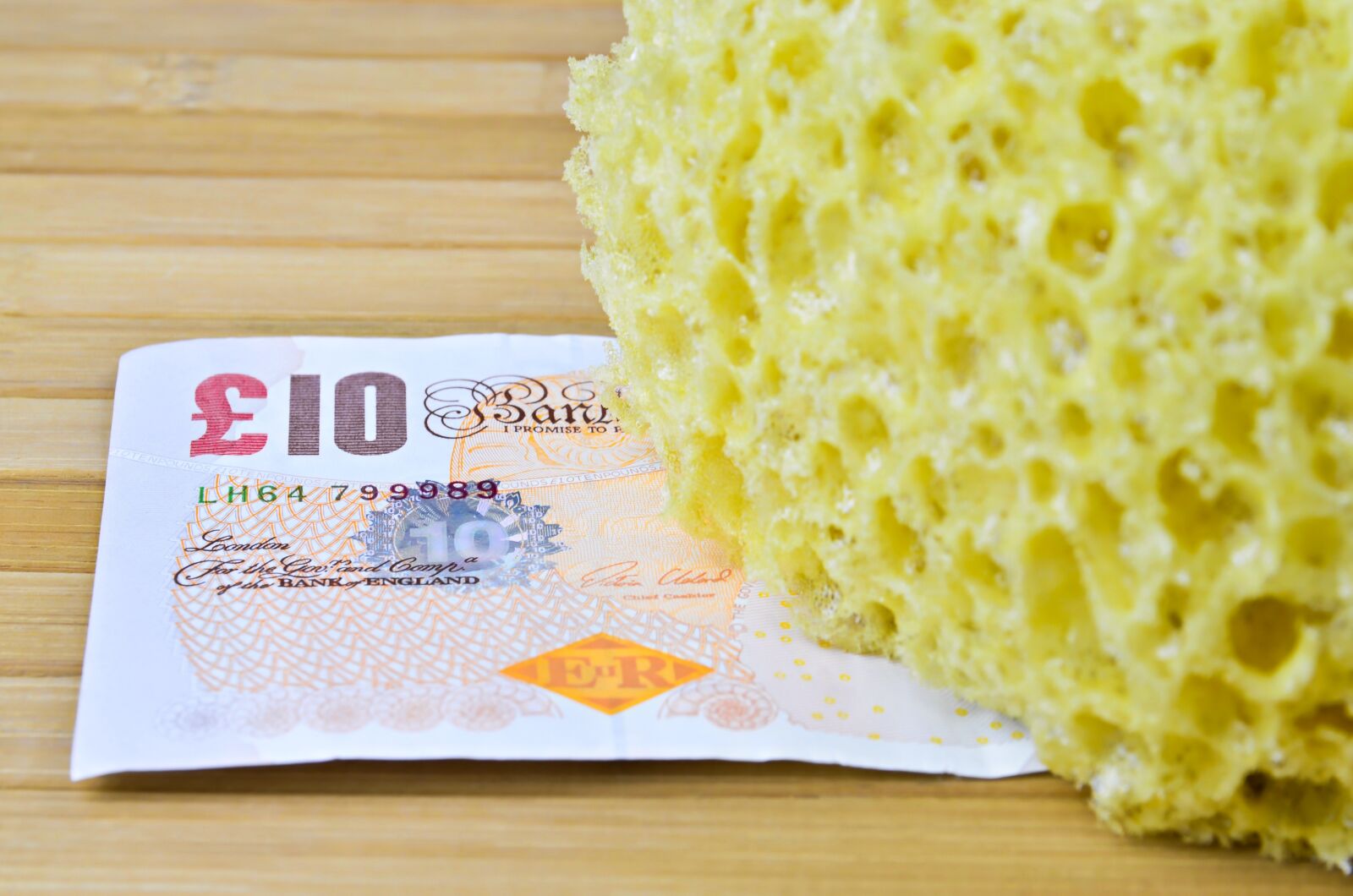 Nikon D7000 sample photo. Sponge for washing, sponge photography