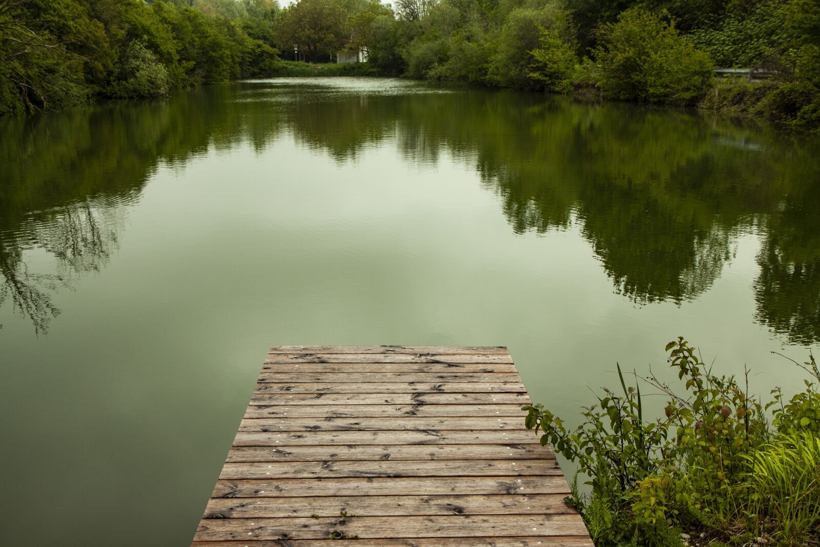 Canon EOS 50D + Sigma 12-24mm f/4.5-5.6 EX DG ASPHERICAL HSM + 1.4x sample photo. Lake, web, jetty photography