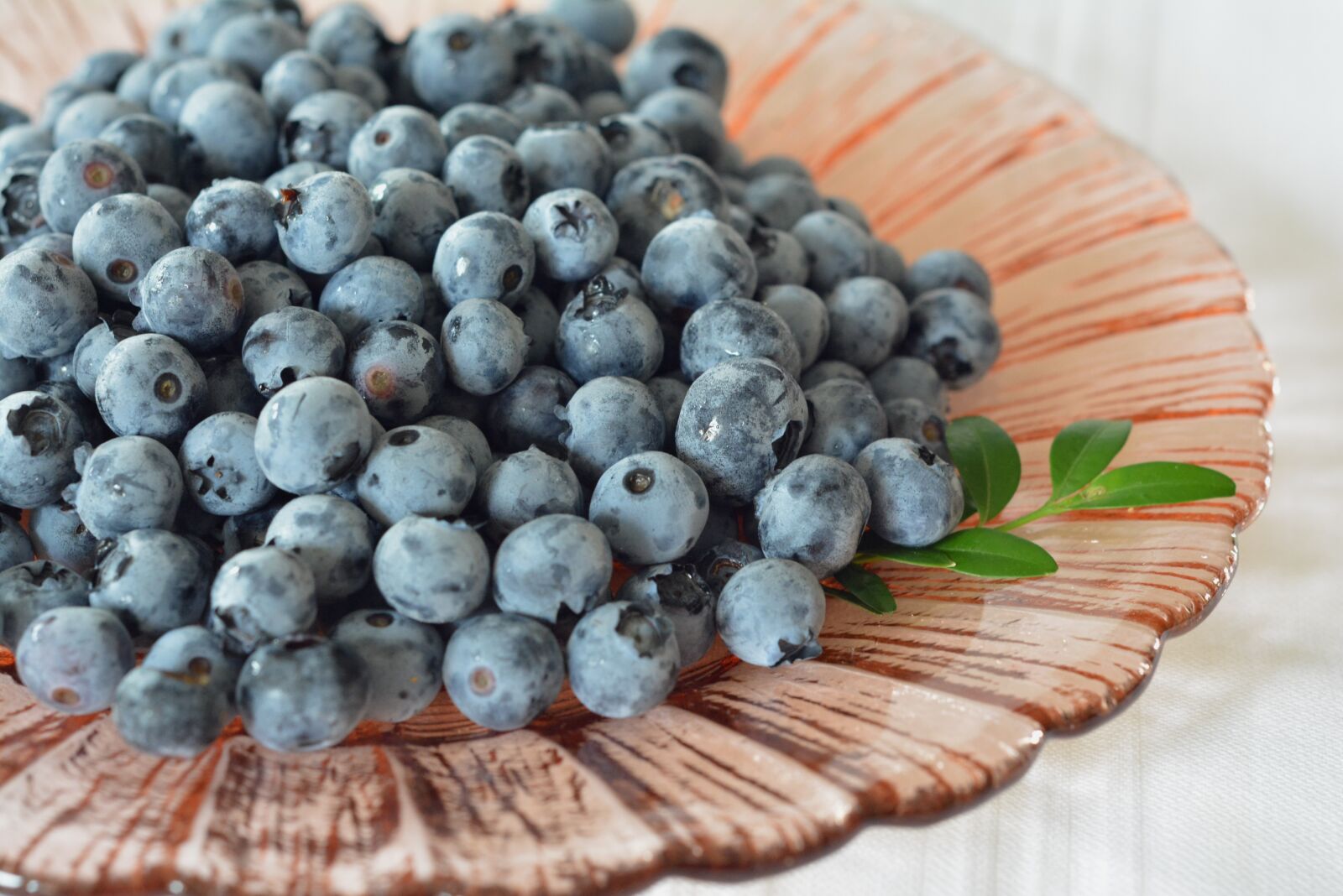 Nikon D5200 sample photo. Blueberries, bilberry, berries photography