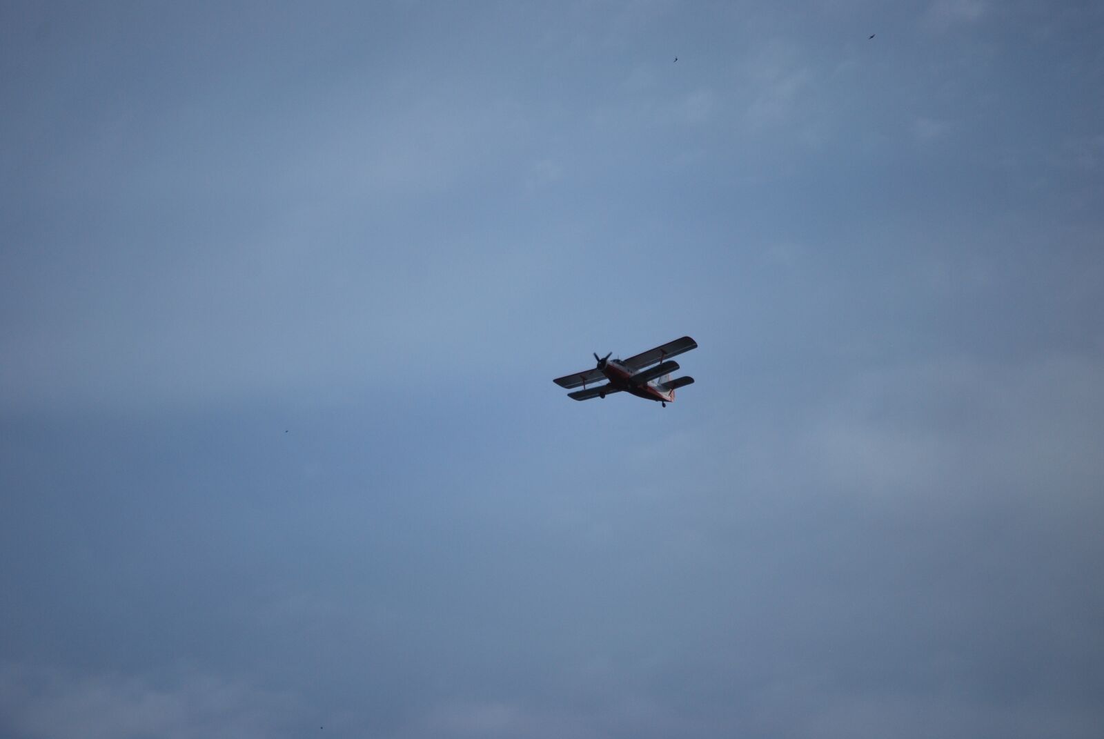 Nikon D60 sample photo. The plane, sky, aviation photography