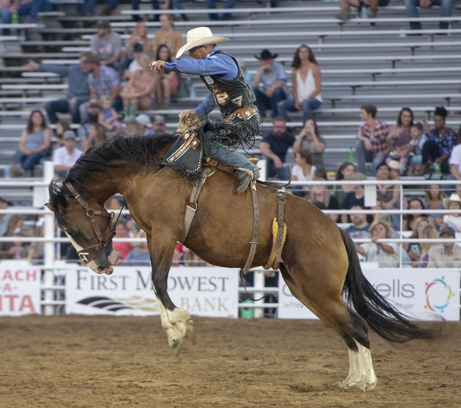 Nikon D850 sample photo. Rodeo, horse, competition photography