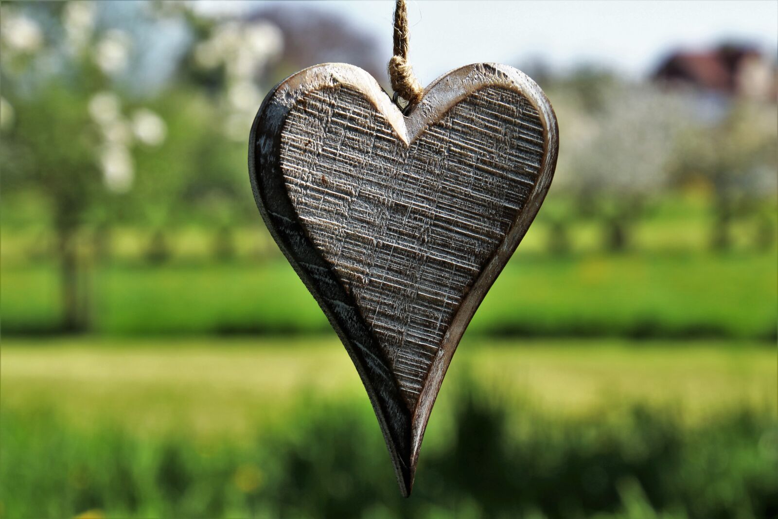 Canon EOS 80D sample photo. Heart, wooden, spring photography