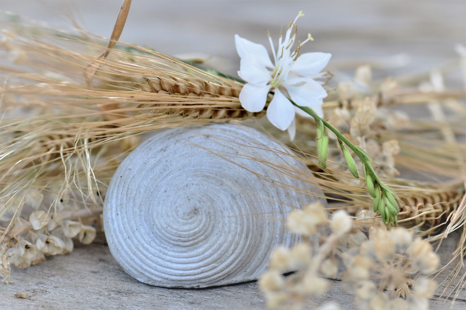 Nikon D5500 sample photo. Deco, table decorations, decoration photography