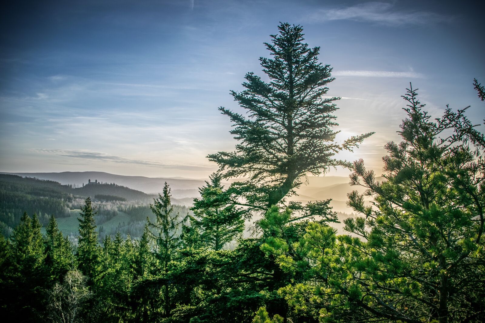 Nikon D5300 sample photo. Trees, landscape, mountains photography