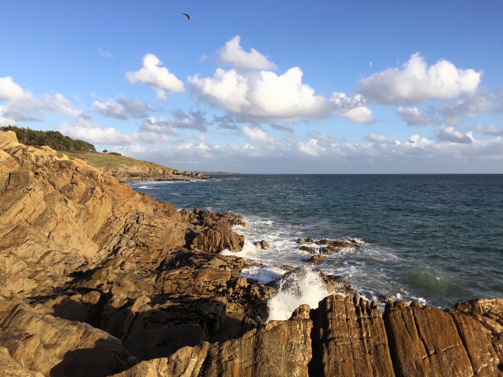 Apple iPhone 6 sample photo. Sea, rock, brittany photography