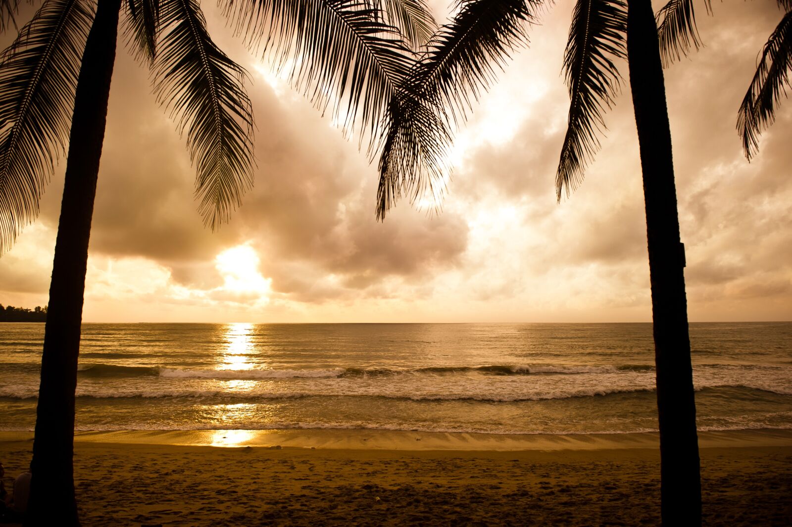 Nikon D3S sample photo. Beach, phuket, nature photography