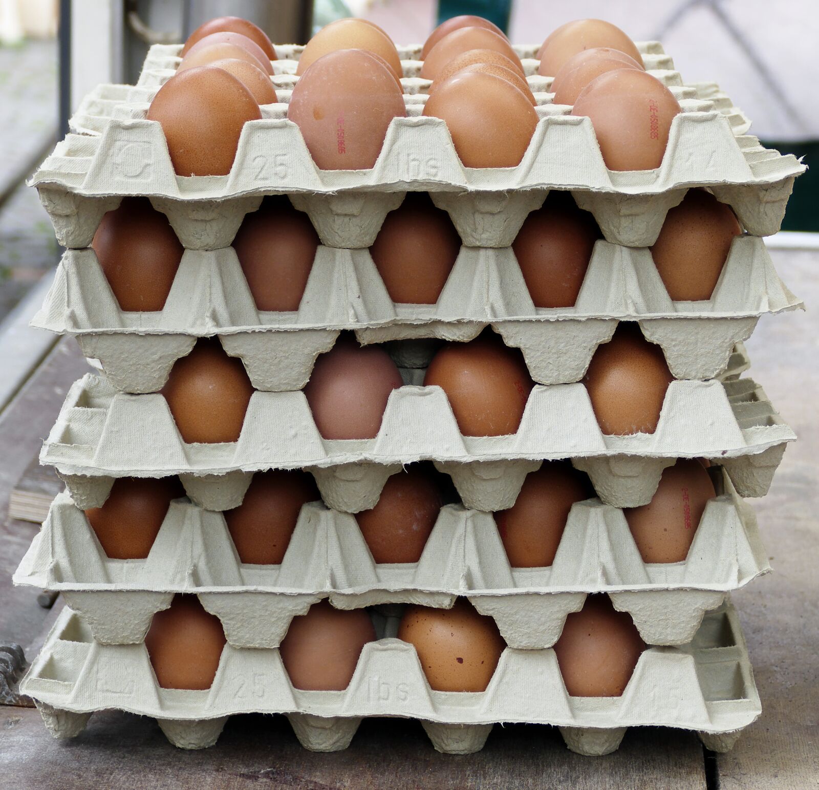 Panasonic Lumix DMC-FZ1000 sample photo. Egg, chicken eggs, egg photography