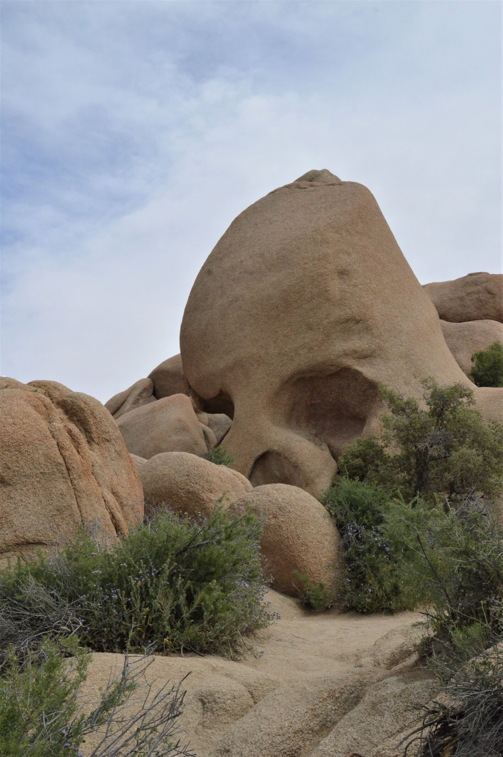 Nikon D3200 sample photo. California, america, desert photography