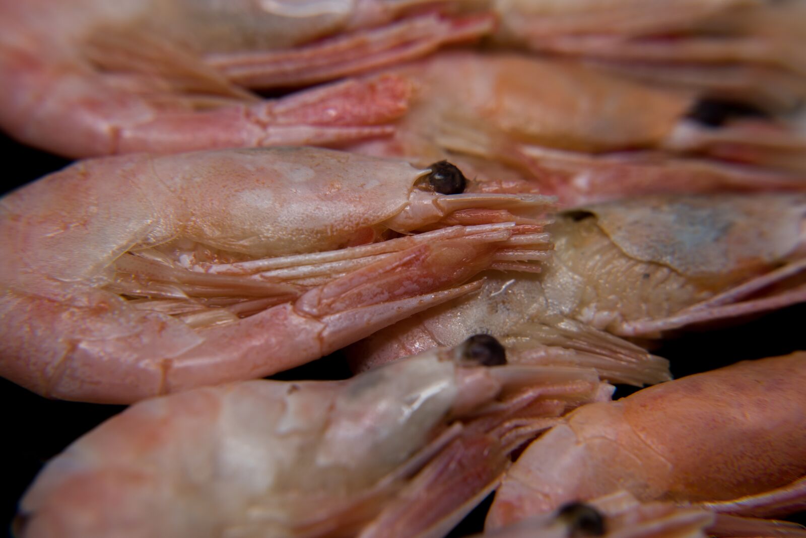 Nikon D810 sample photo. Fish, seafood, market photography