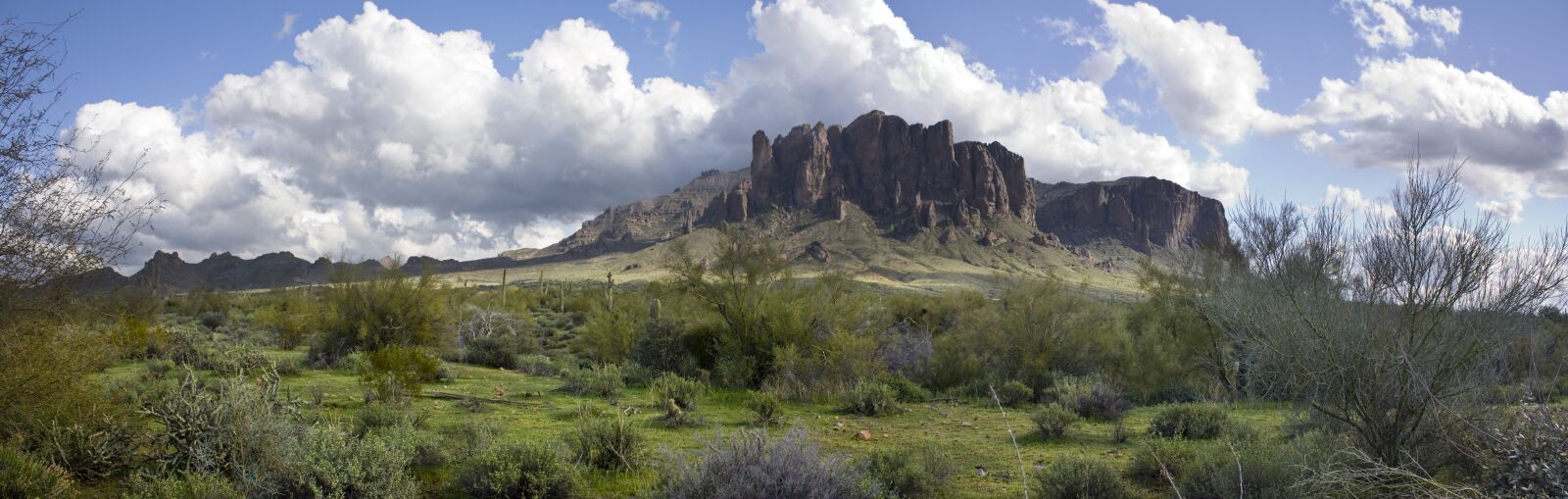 Canon EOS 450D (EOS Rebel XSi / EOS Kiss X2) sample photo. Superstition mountains, arizona, desert photography