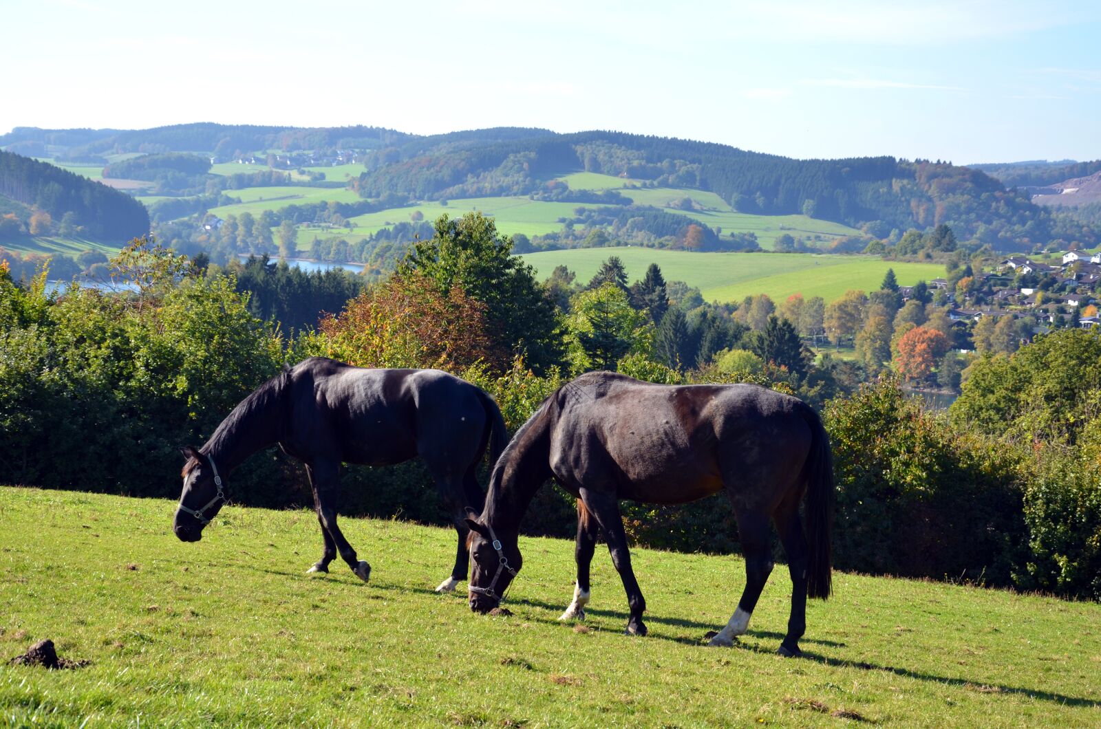 Nikon D7000 sample photo. South westphalia, drolshagen, lister photography